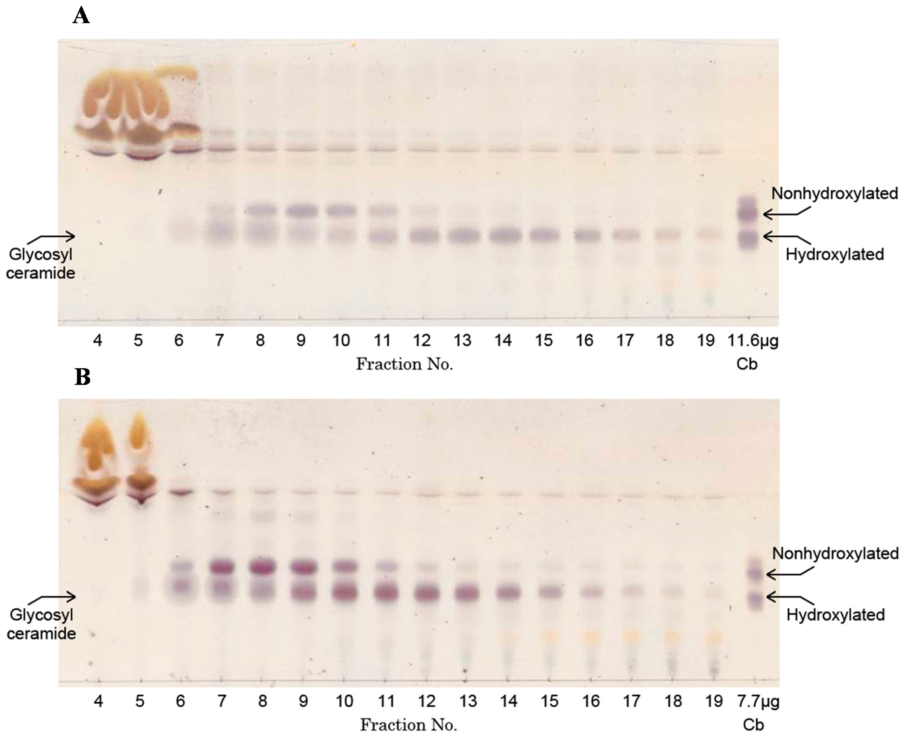 Fermentation 02 00002 g001