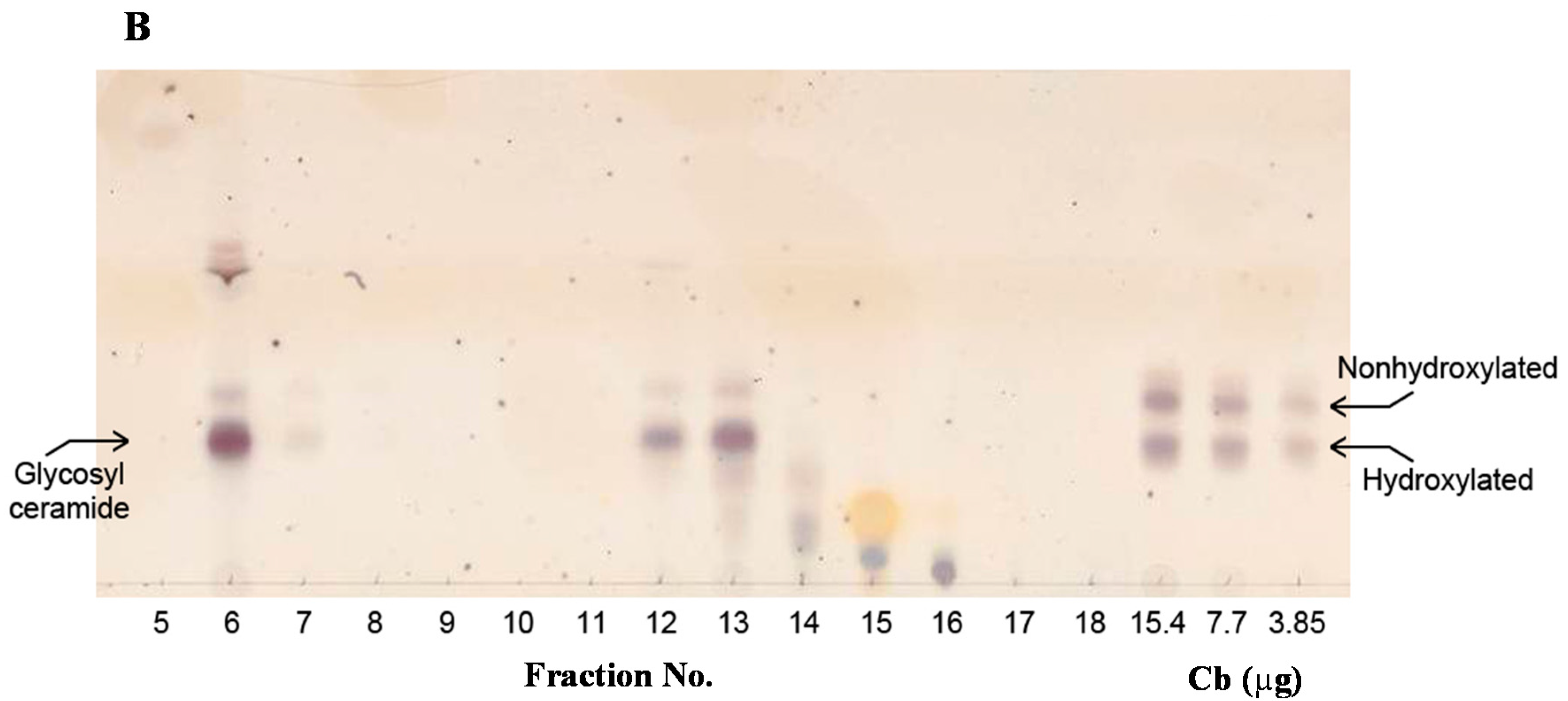 Fermentation 02 00002 g002b