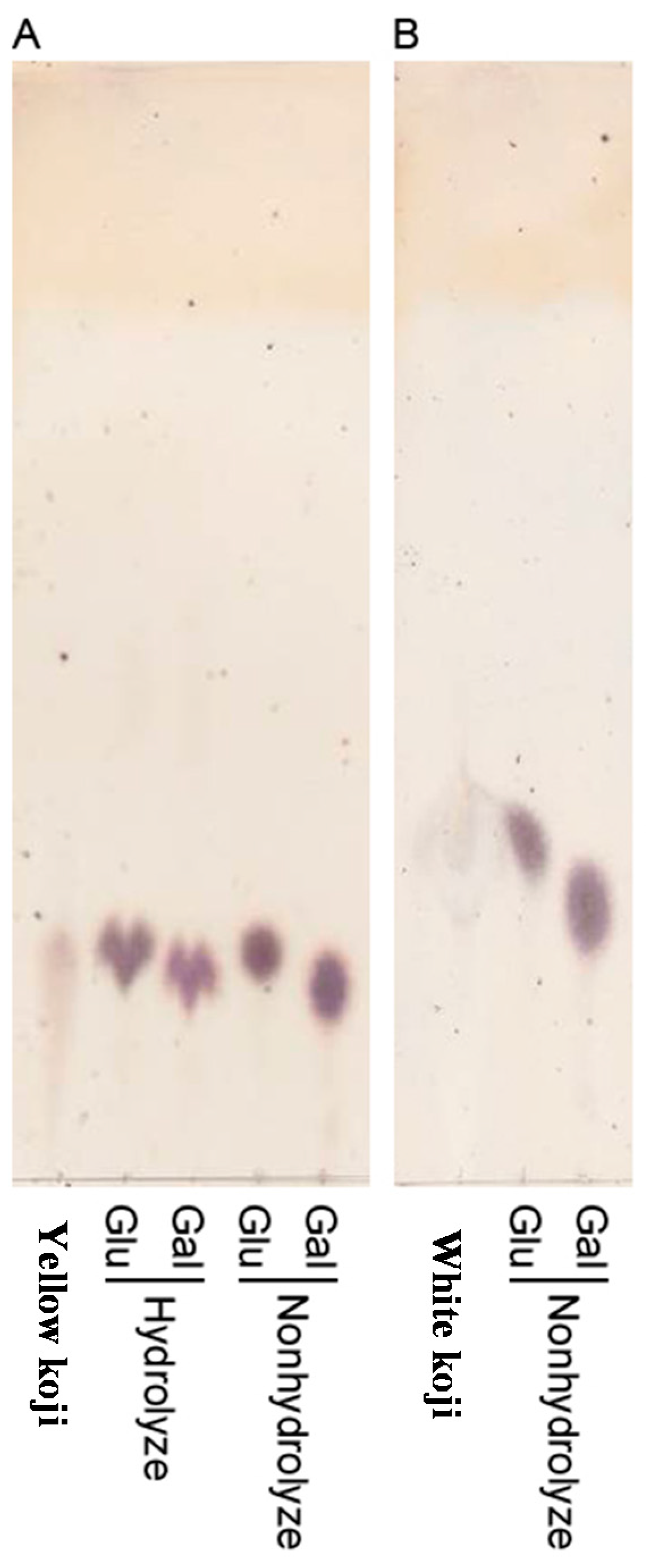 Fermentation 02 00002 g003