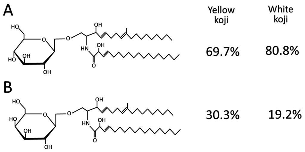 Fermentation 02 00002 g005 1024