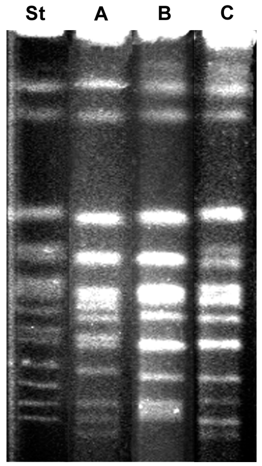 Fermentation 02 00007 g002