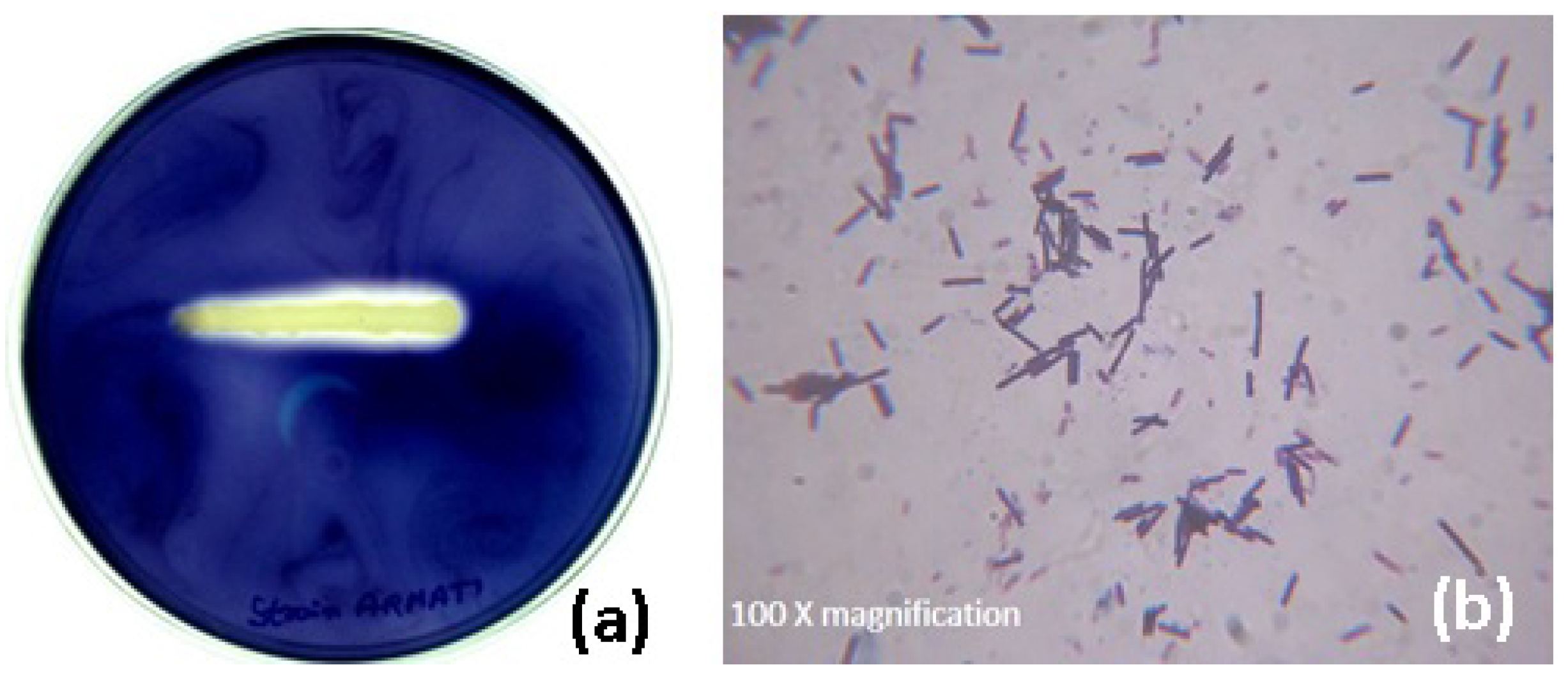 Fermentation 03 00007 g001