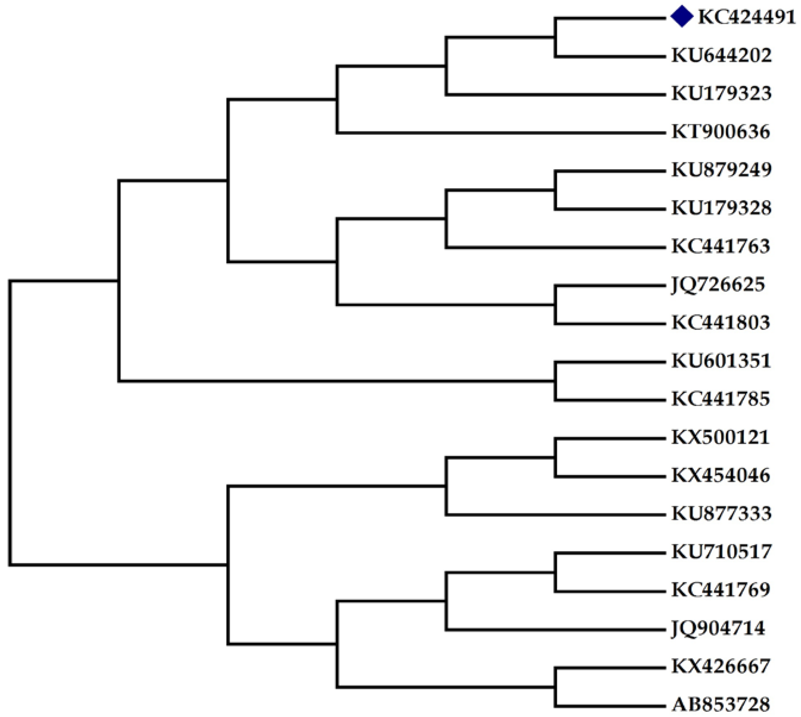 Fermentation 03 00007 g002