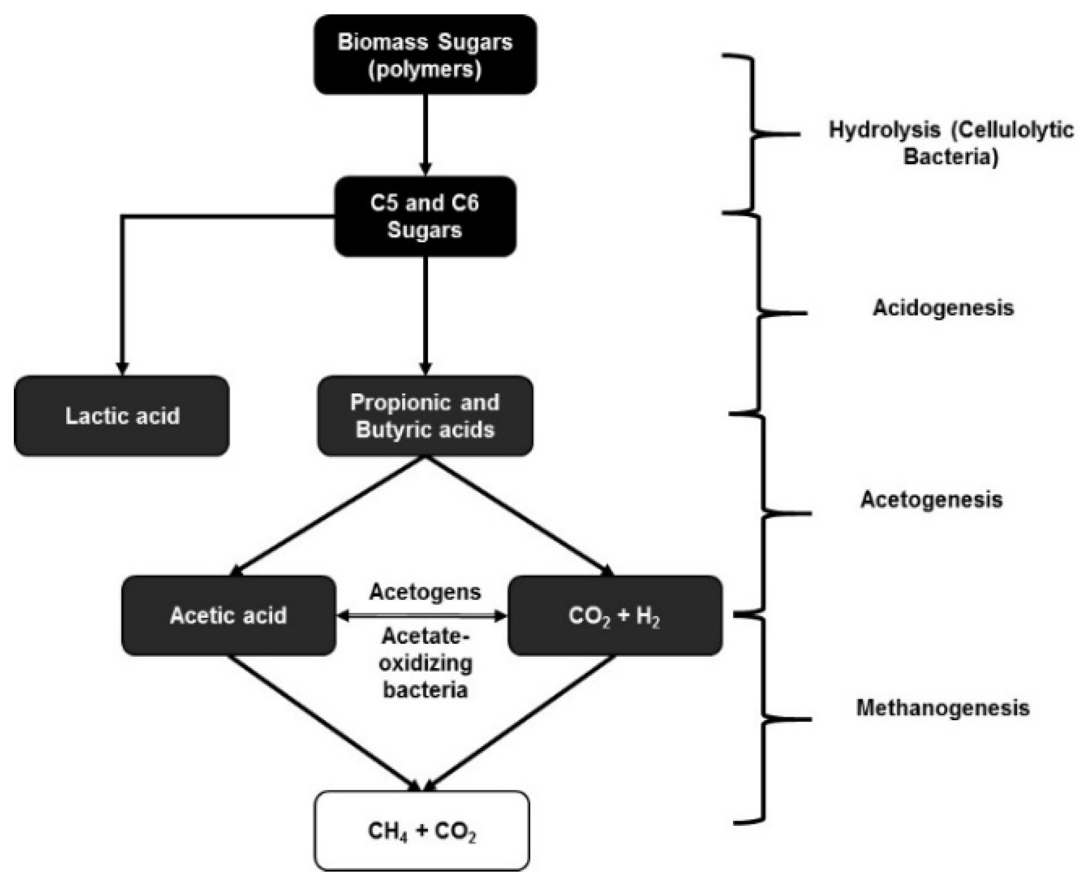 Fermentation 03 00022 g002
