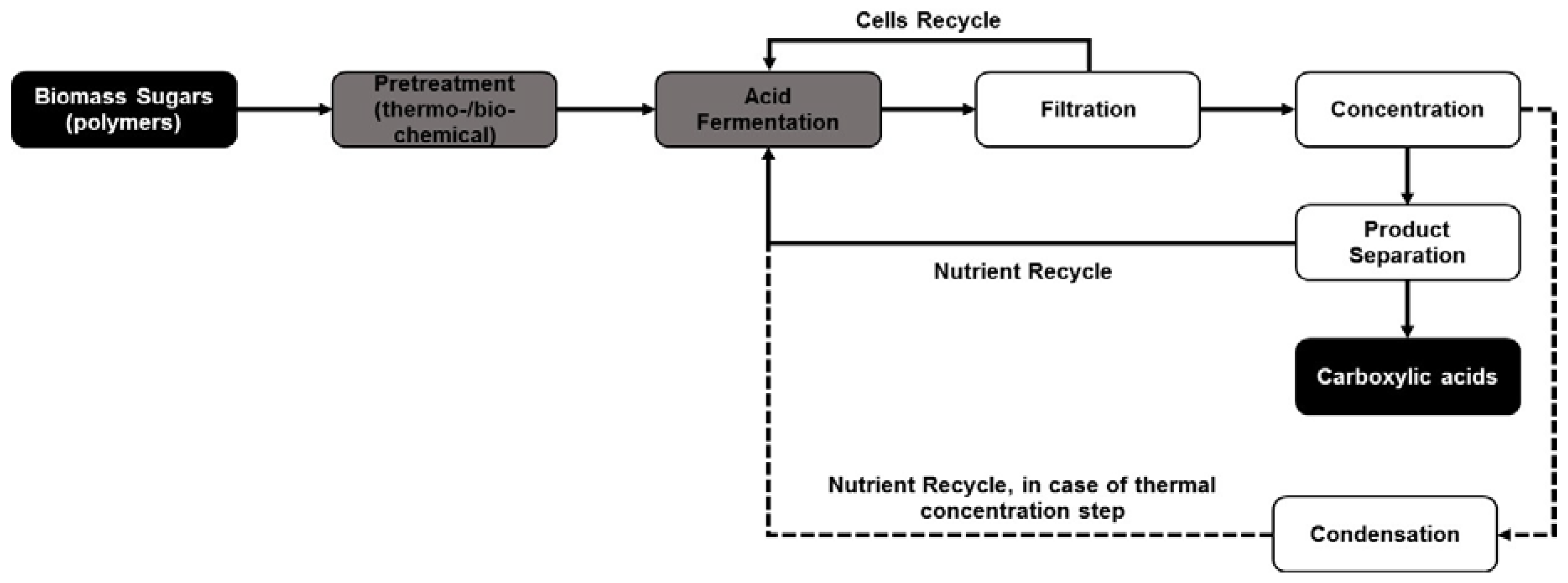Fermentation 03 00022 g003