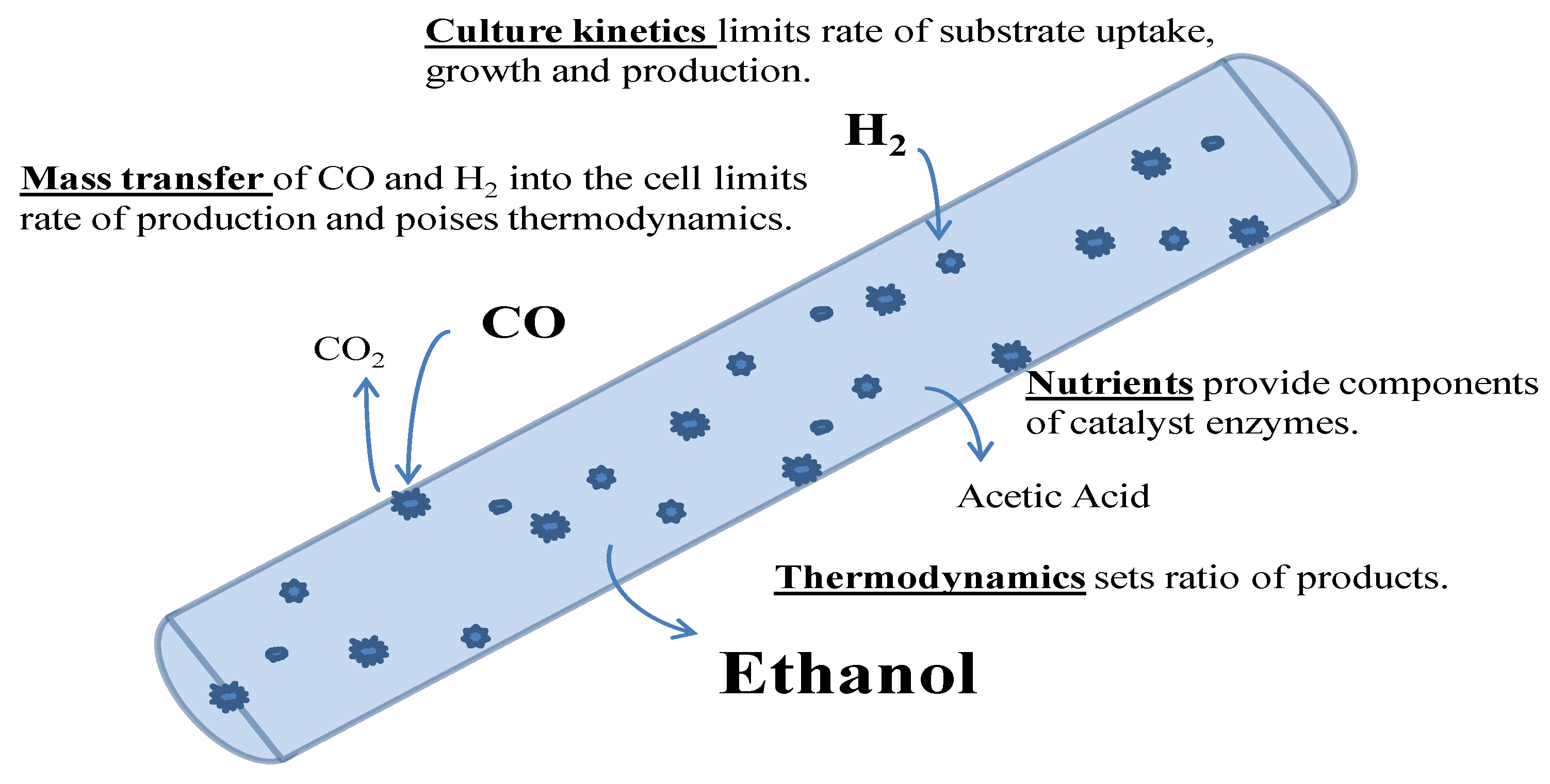 Fermentation 03 00028 g003