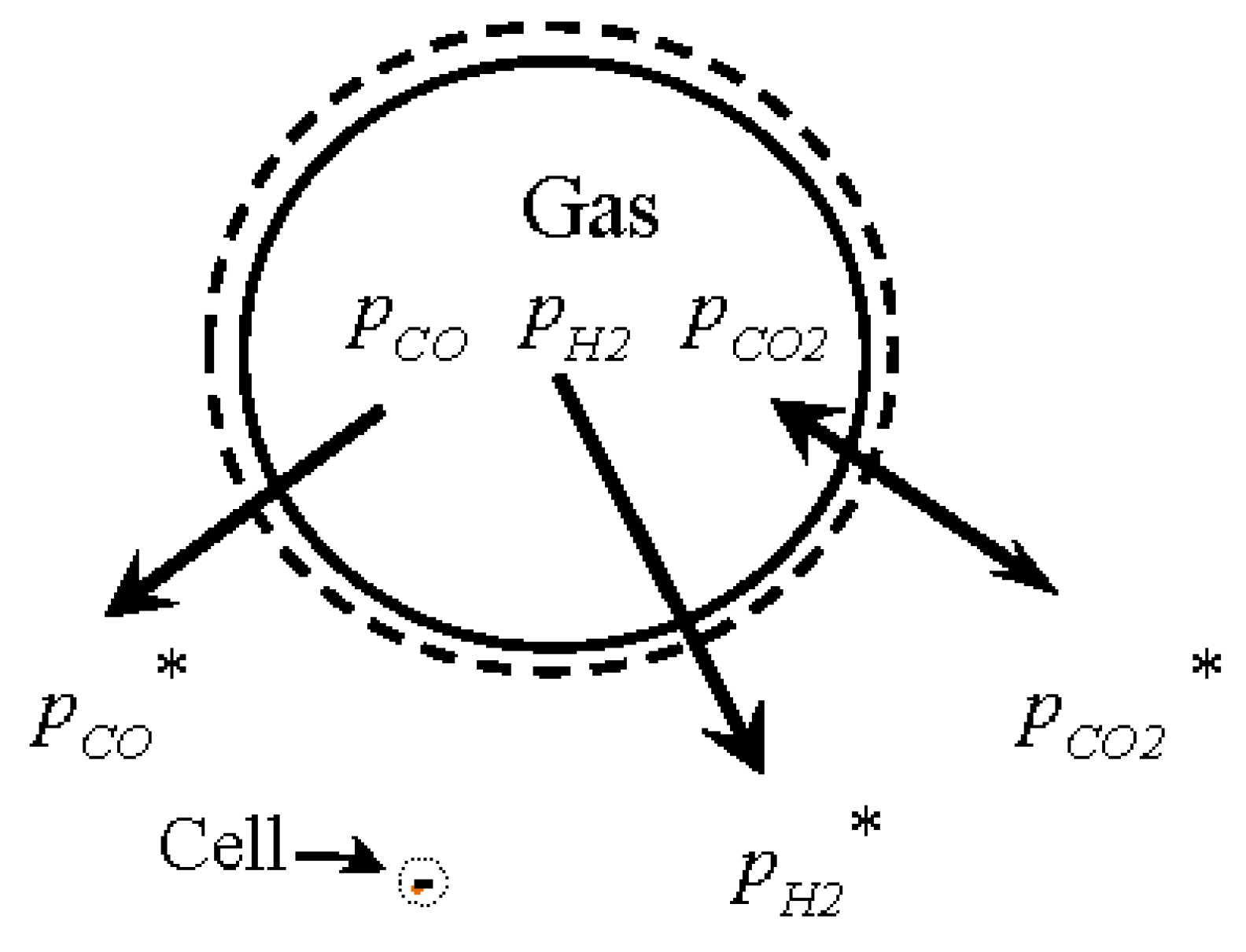 Fermentation 03 00028 g004