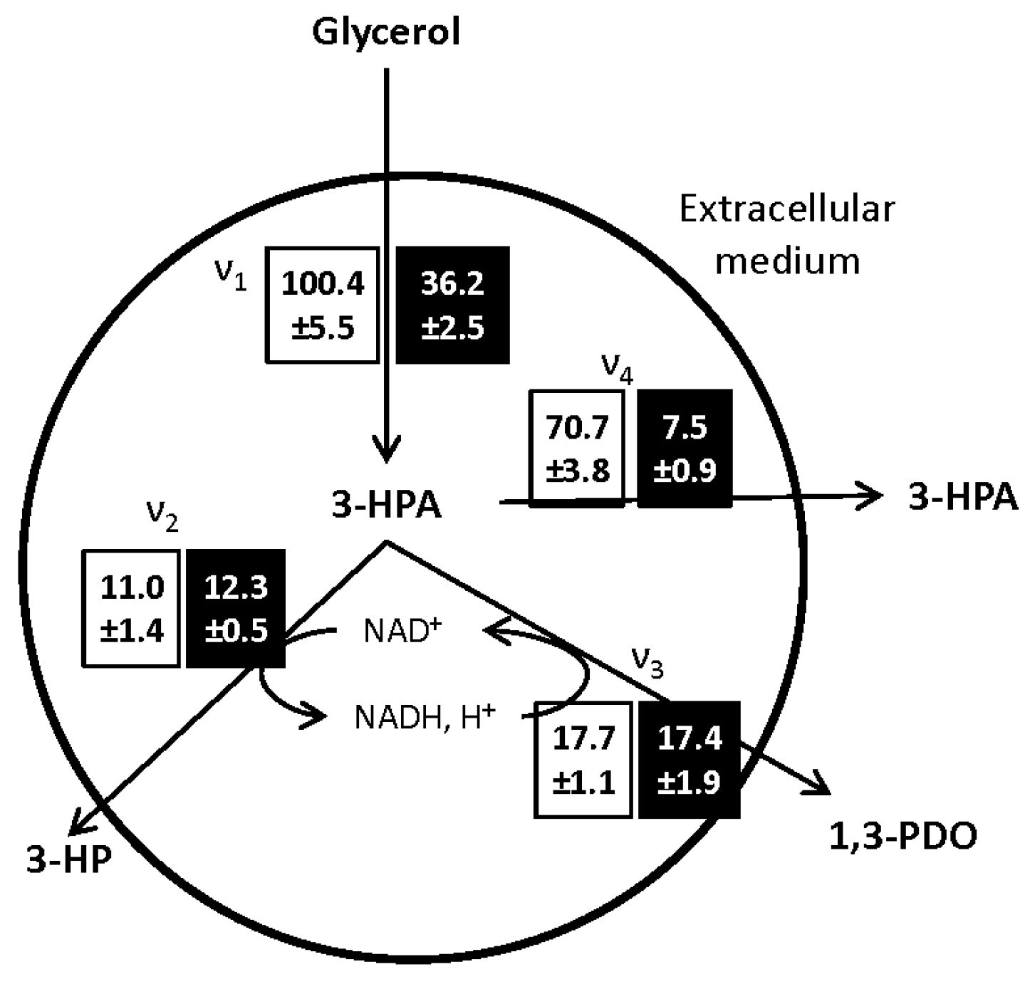 Fermentation 03 00032 g004