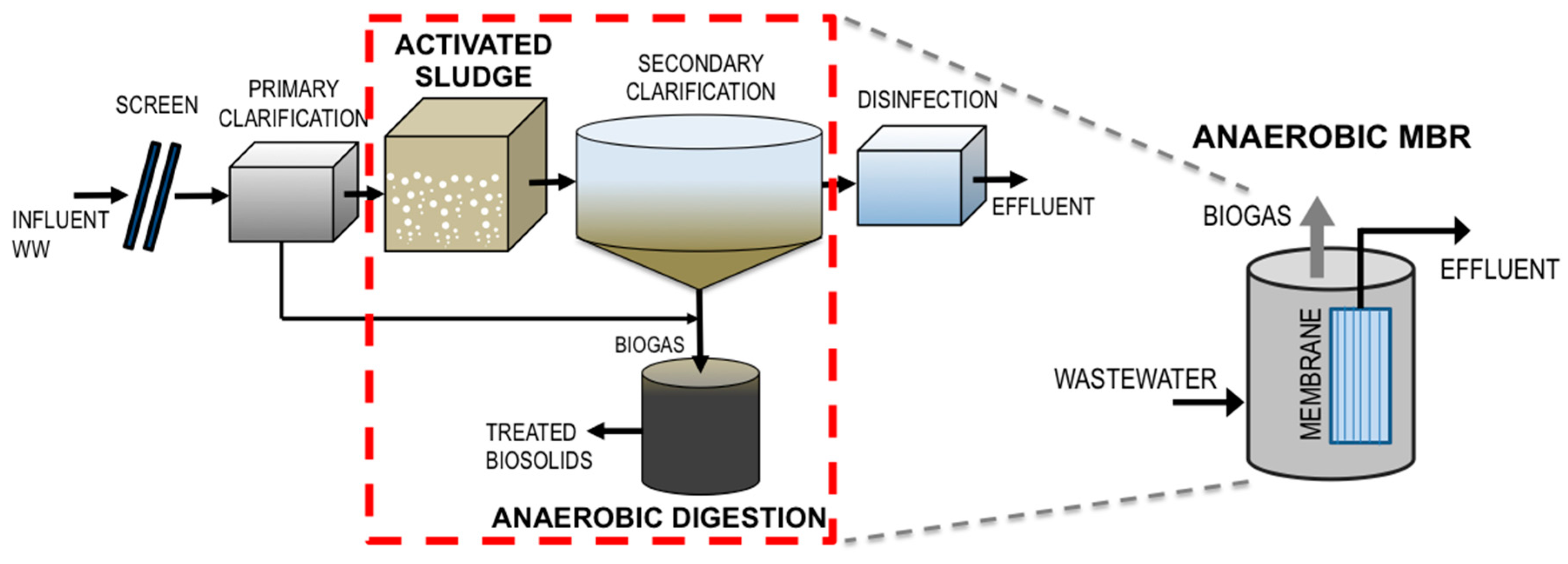 Fermentation 03 00039 g001 Fermentation 03 00039 g001