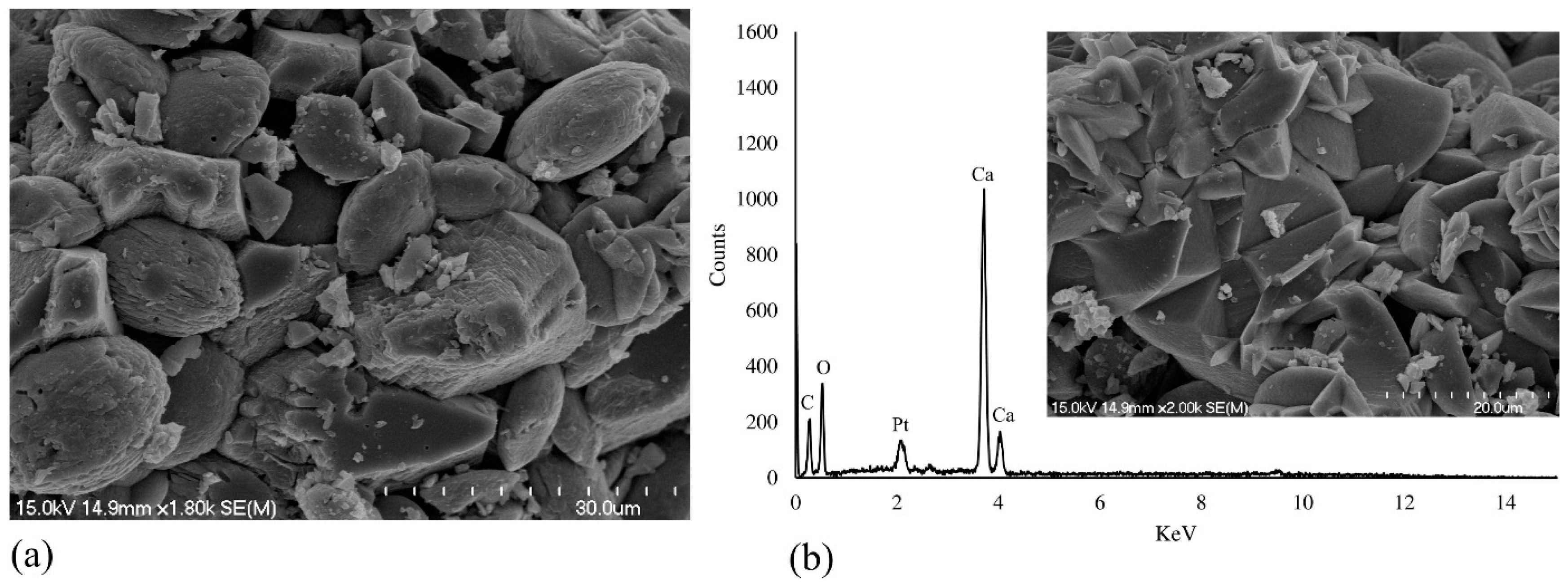 Fermentation 03 00057 g004 Fermentation 03 00057 g004