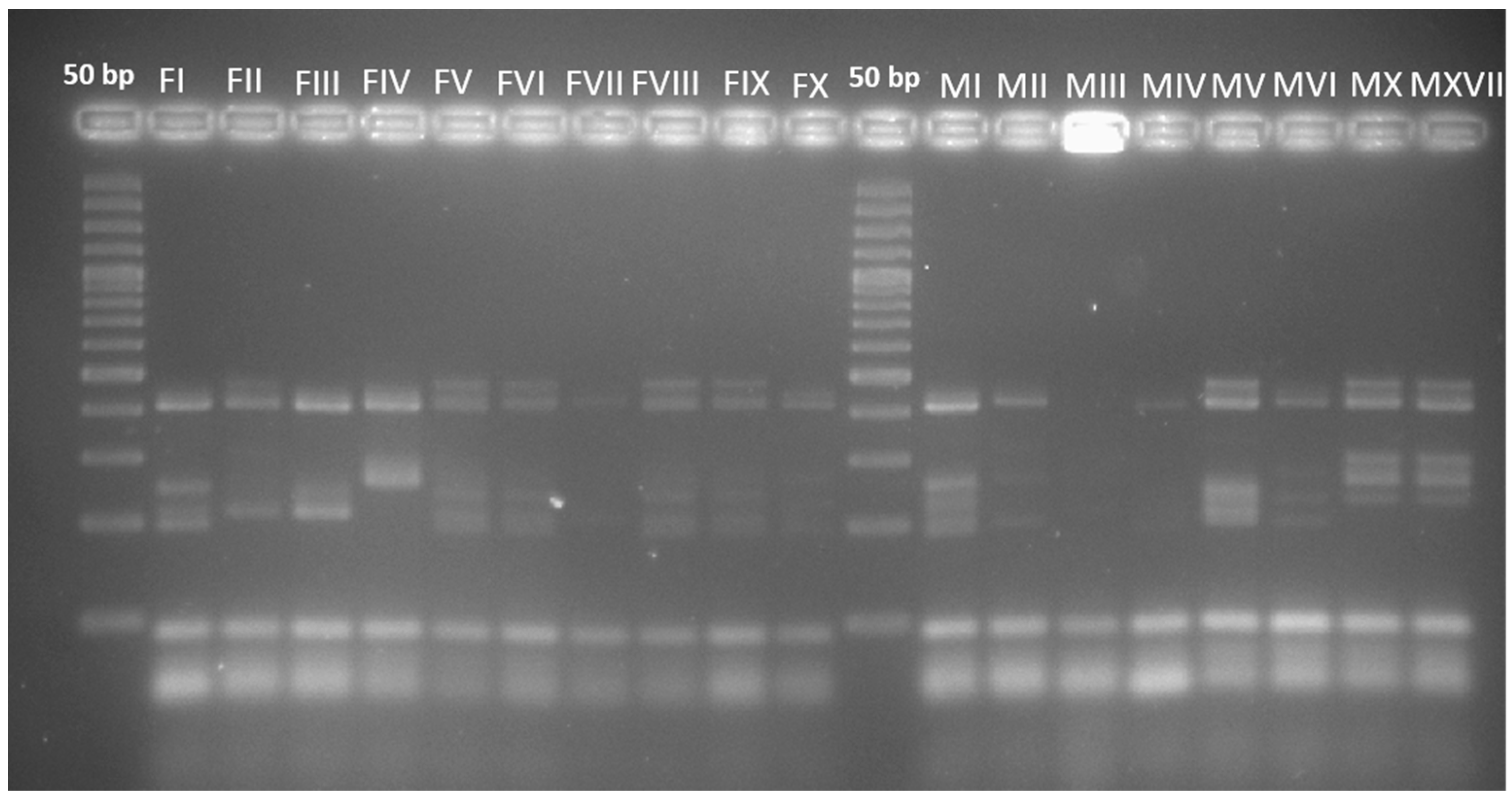 Fermentation 03 00058 g001 Fermentation 03 00058 g001