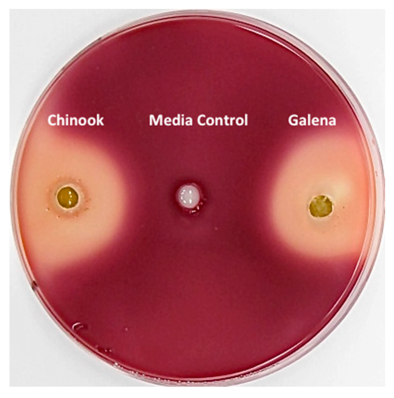 Fermentation 03 00068 g002