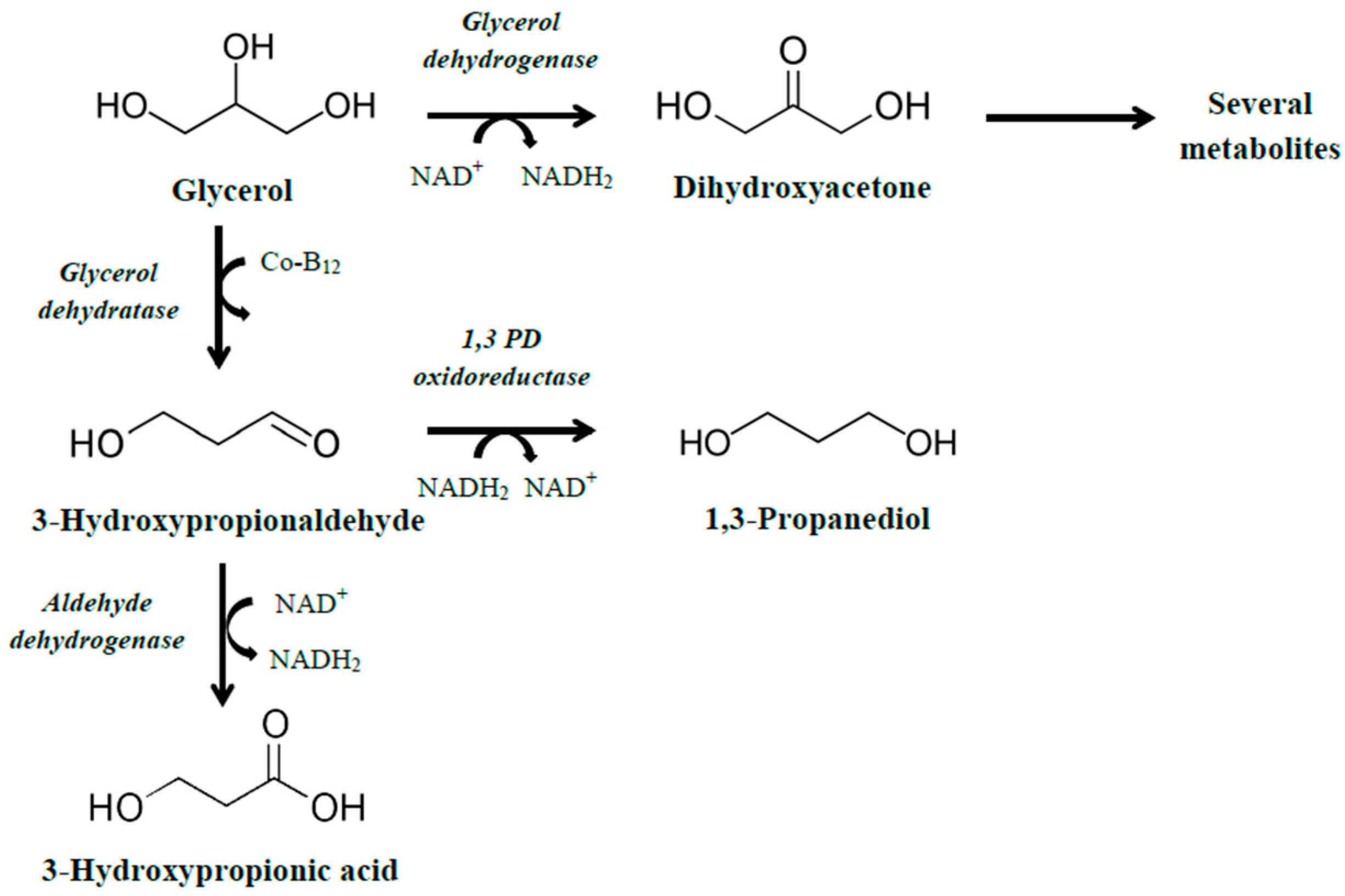 Fermentation 04 00013 g001