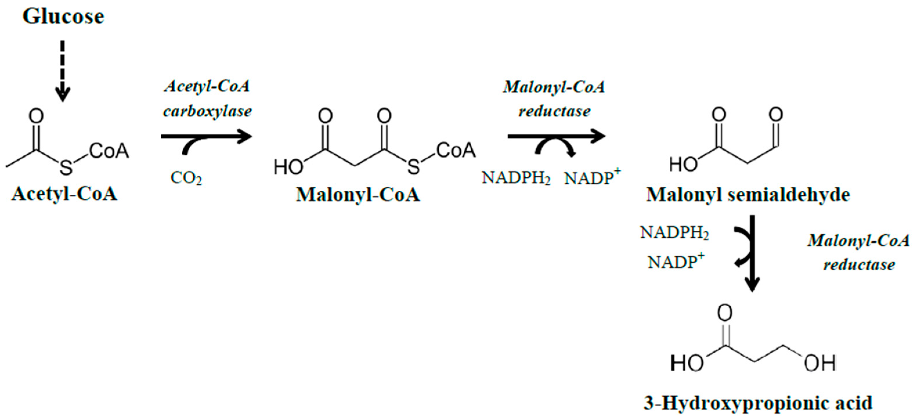 Fermentation 04 00013 g003