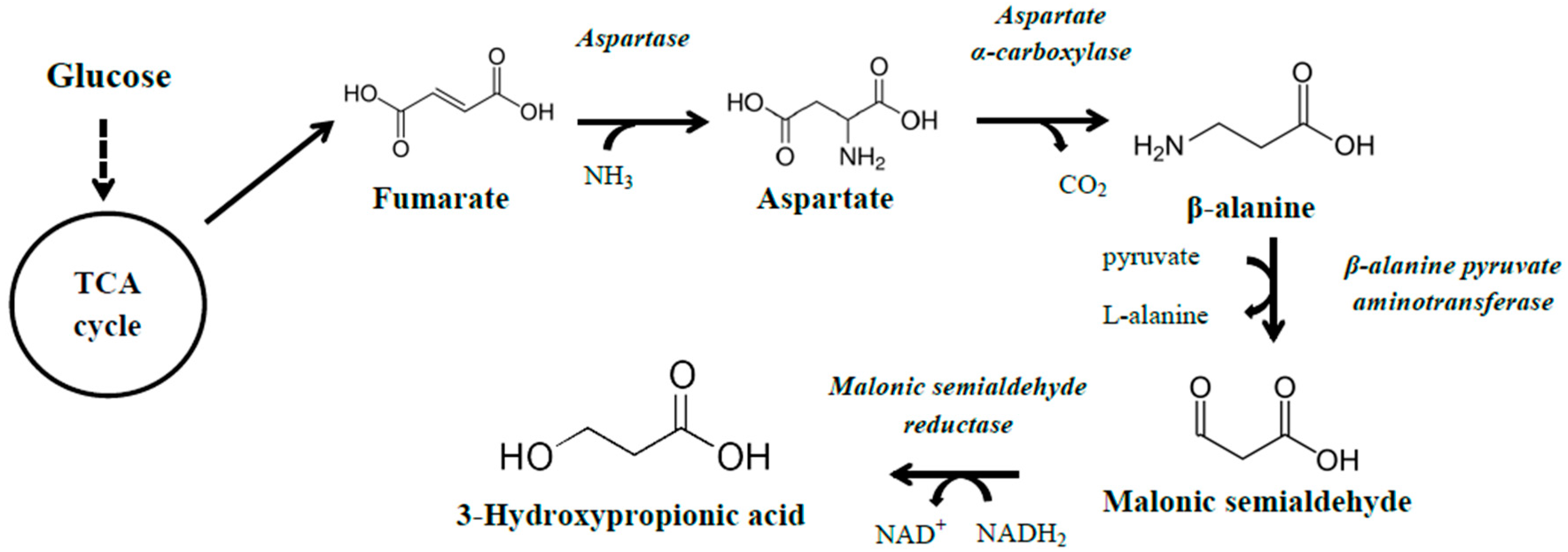 Fermentation 04 00013 g004