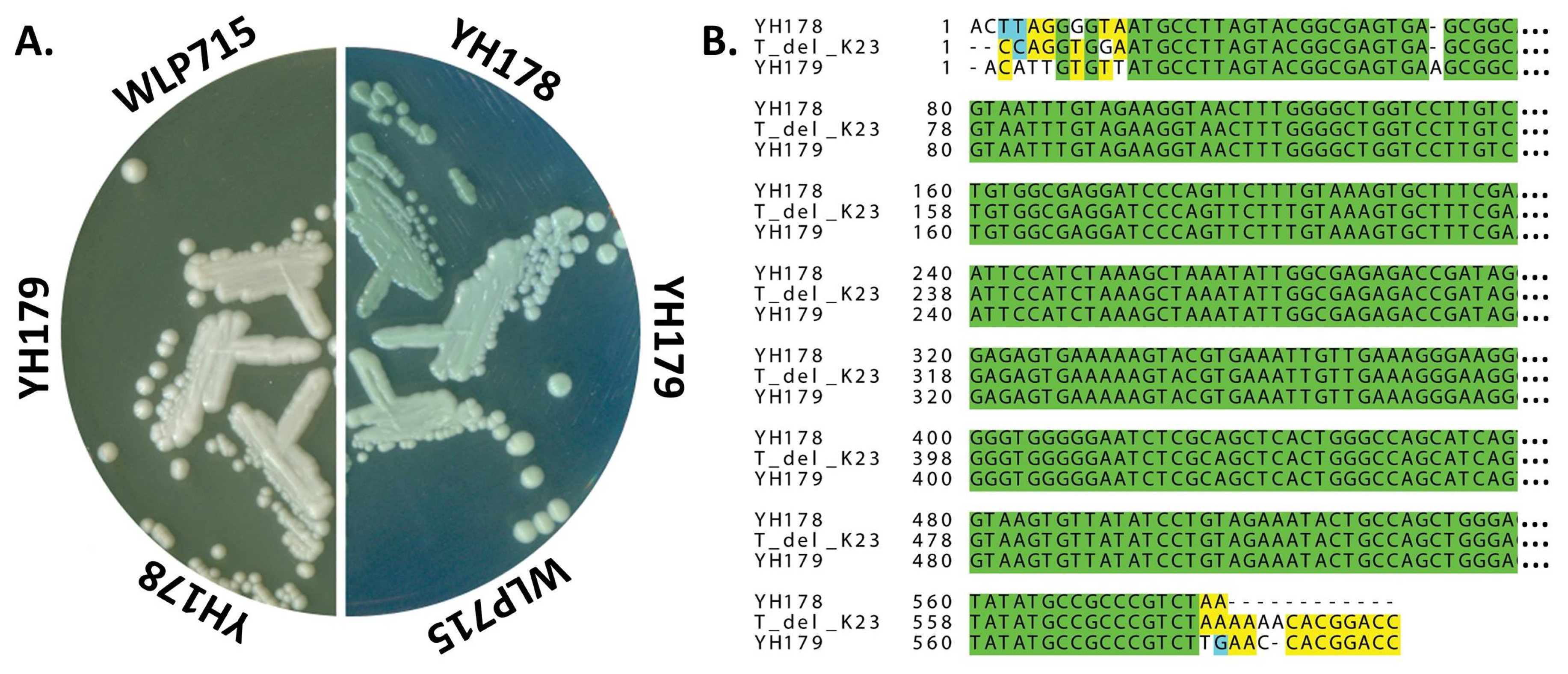 Fermentation 04 00022 g001