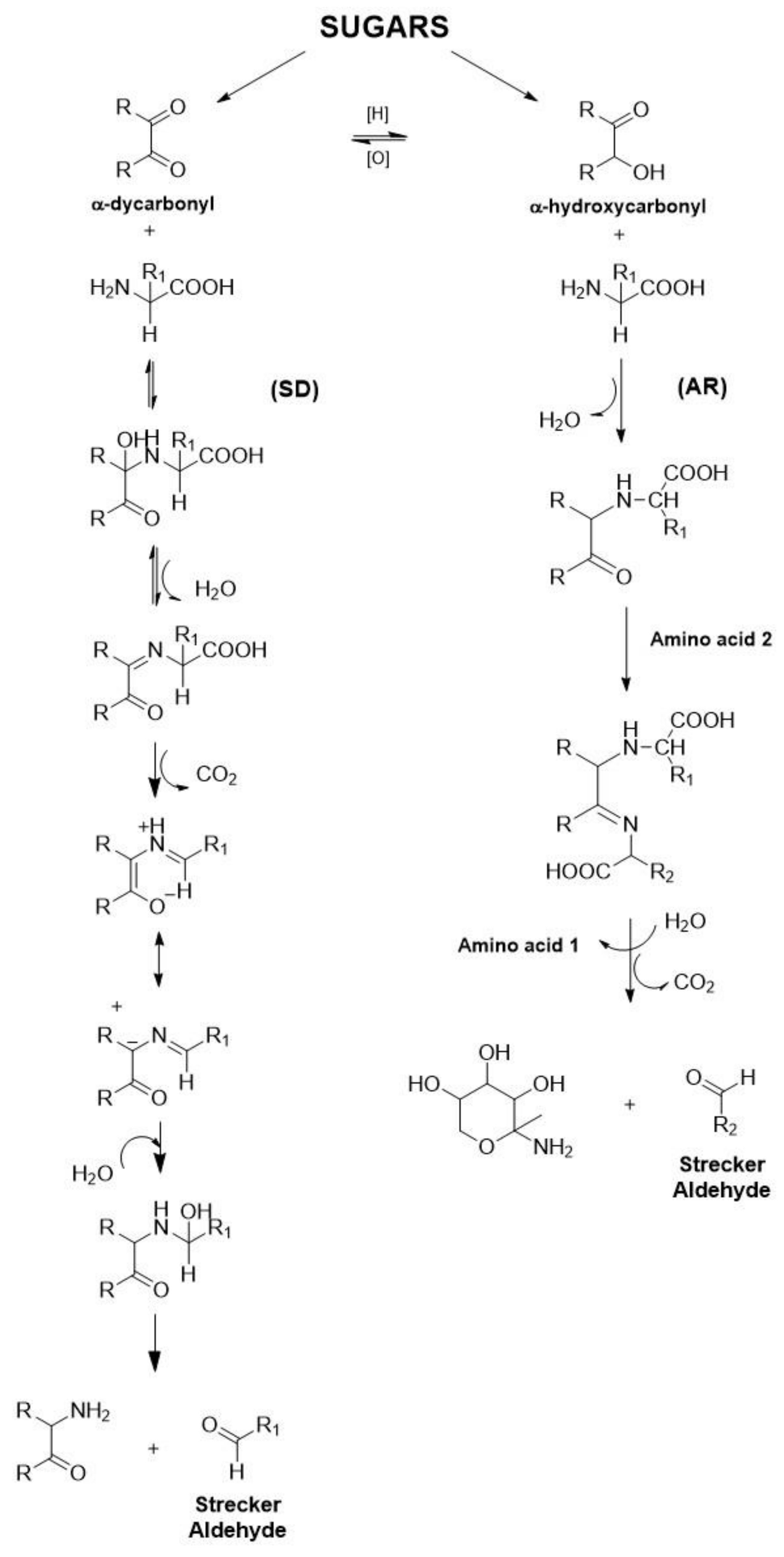 Fermentation 04 00023 g001