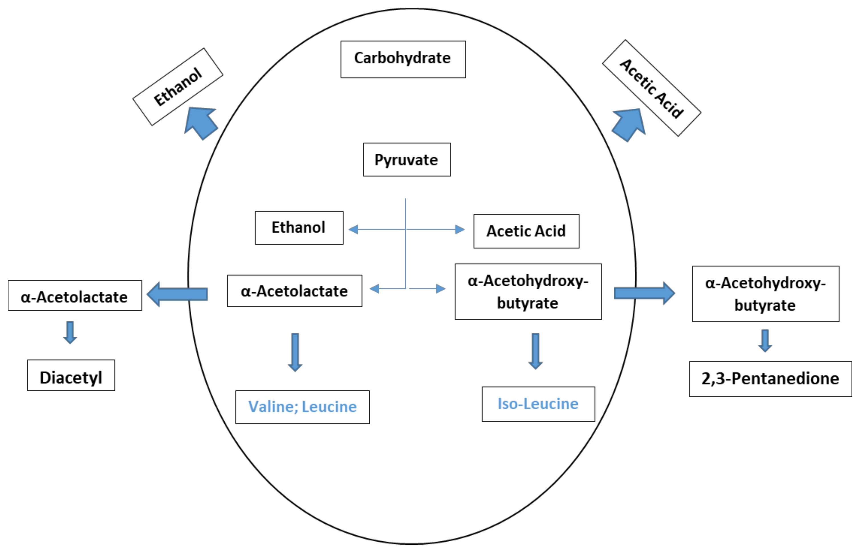 Fermentation 04 00023 g003