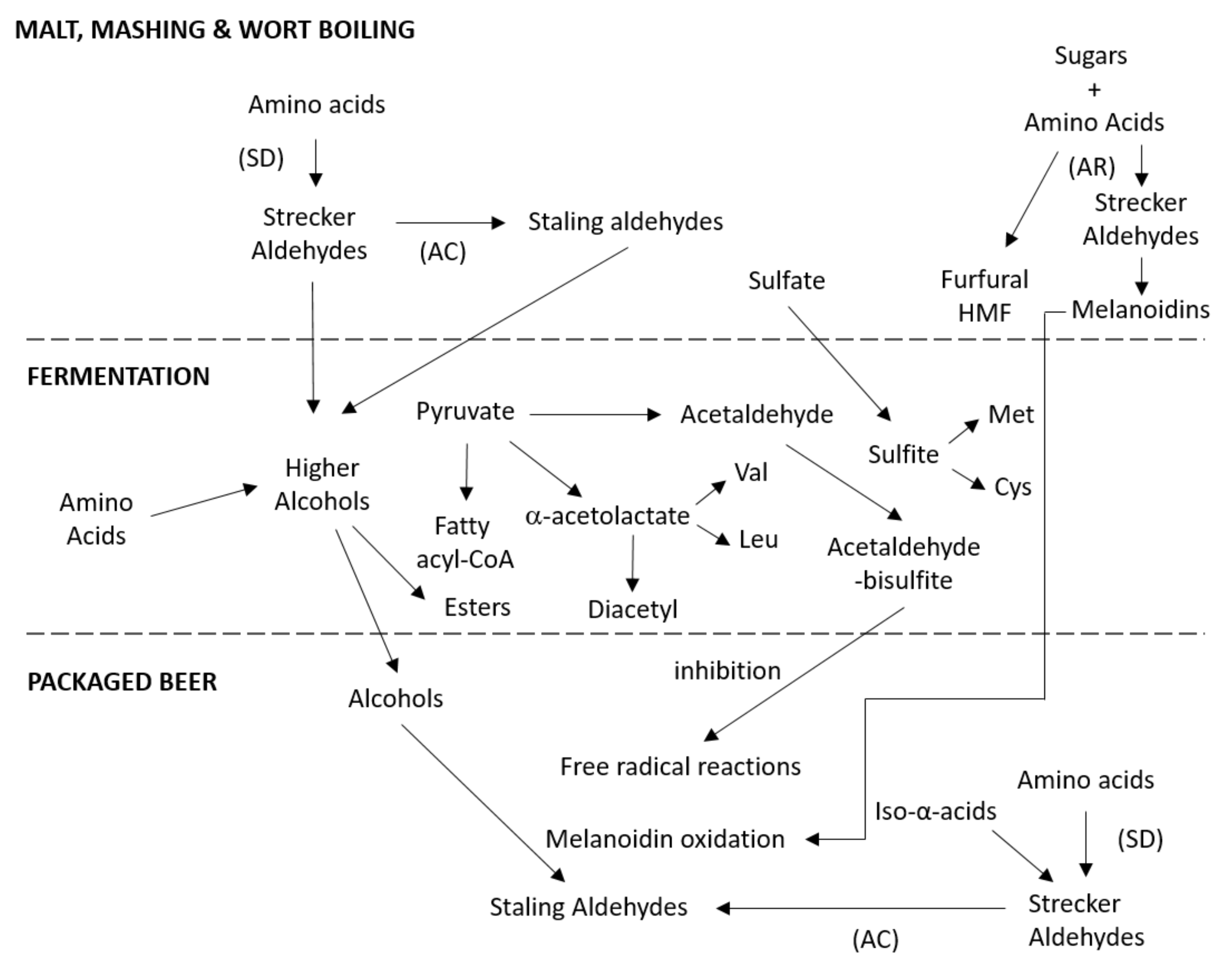Fermentation 04 00023 g004