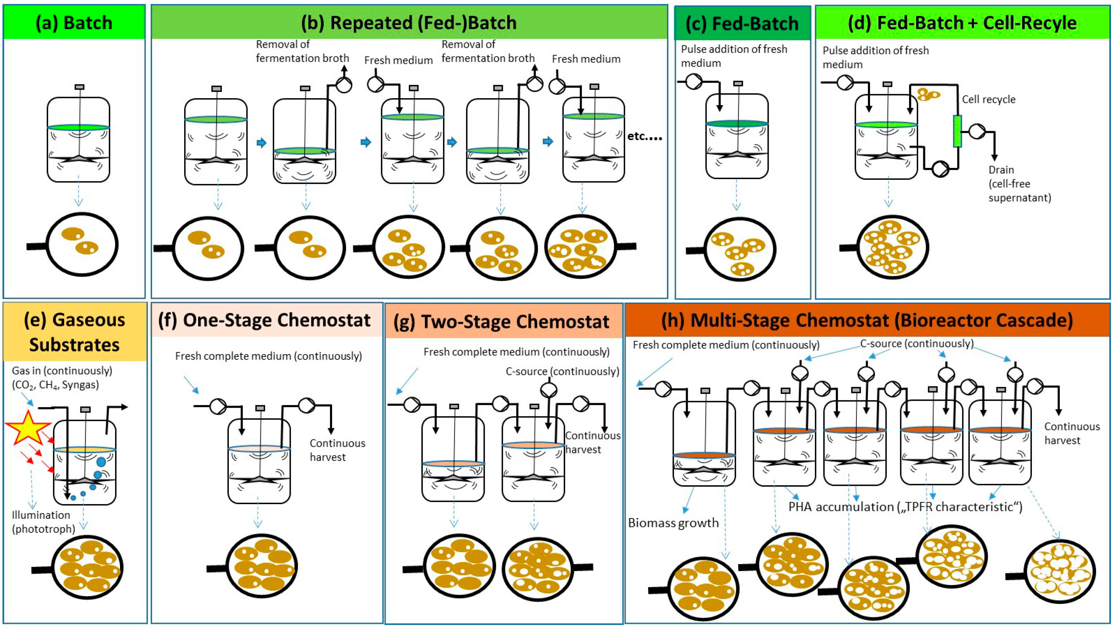 Fermentation 04 00030 g002