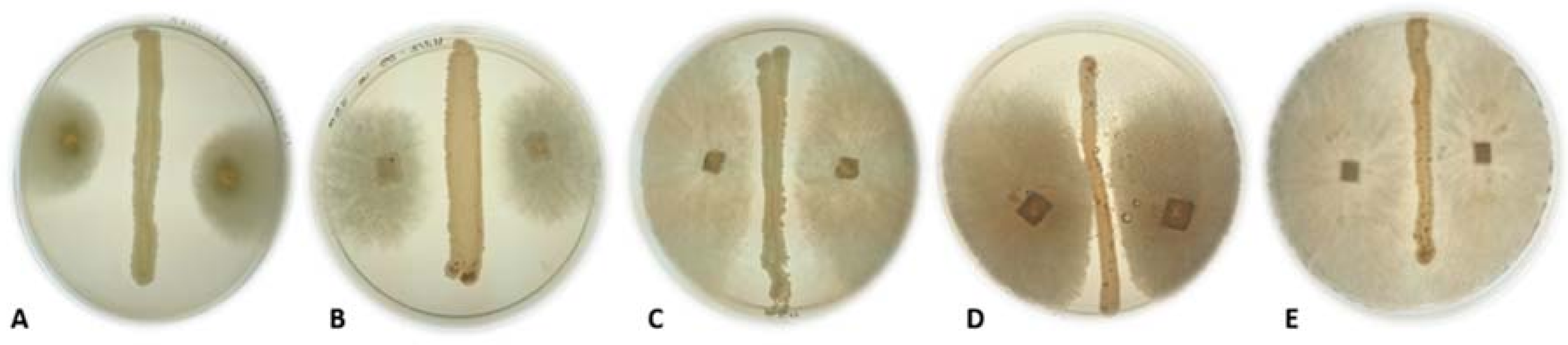 Fermentation 04 00031 g001
