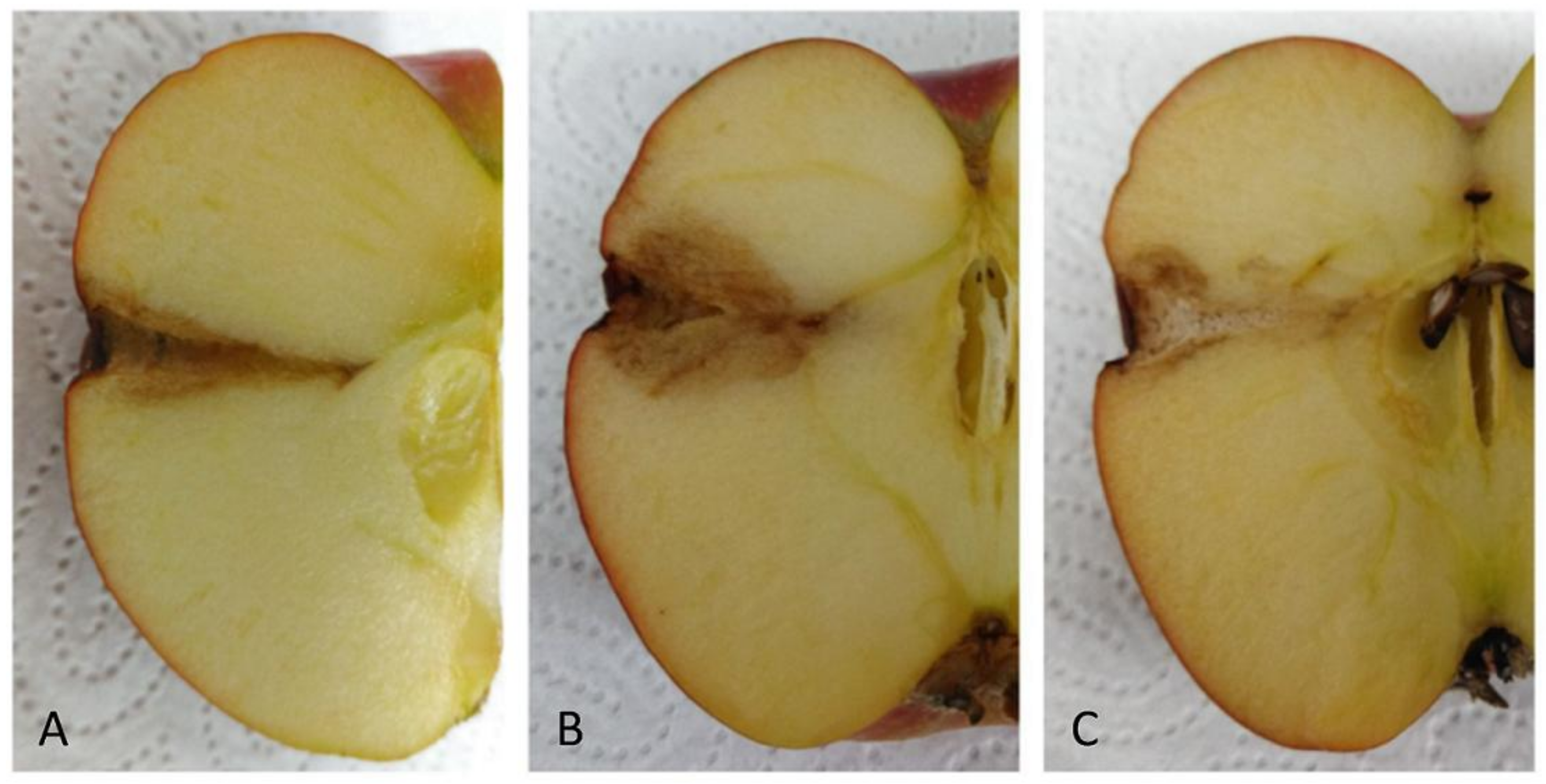 Fermentation 04 00031 g004