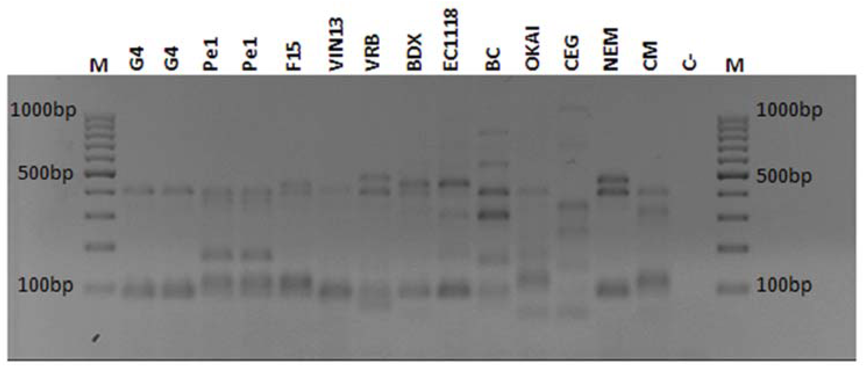 Fermentation 04 00037 g001