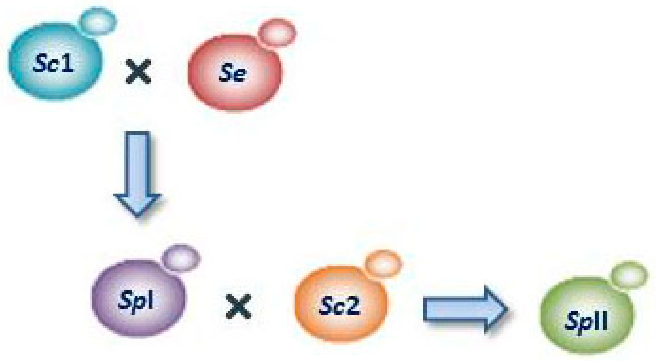Fermentation 04 00038 g001 Fermentation 04 00038 g001