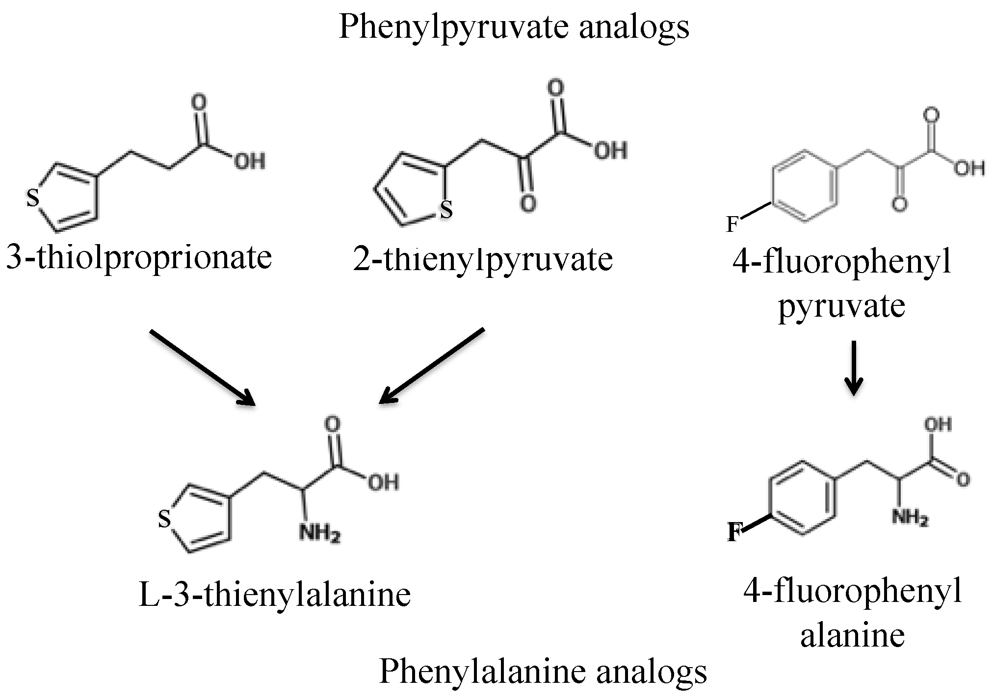 Fermentation 04 00041 g002