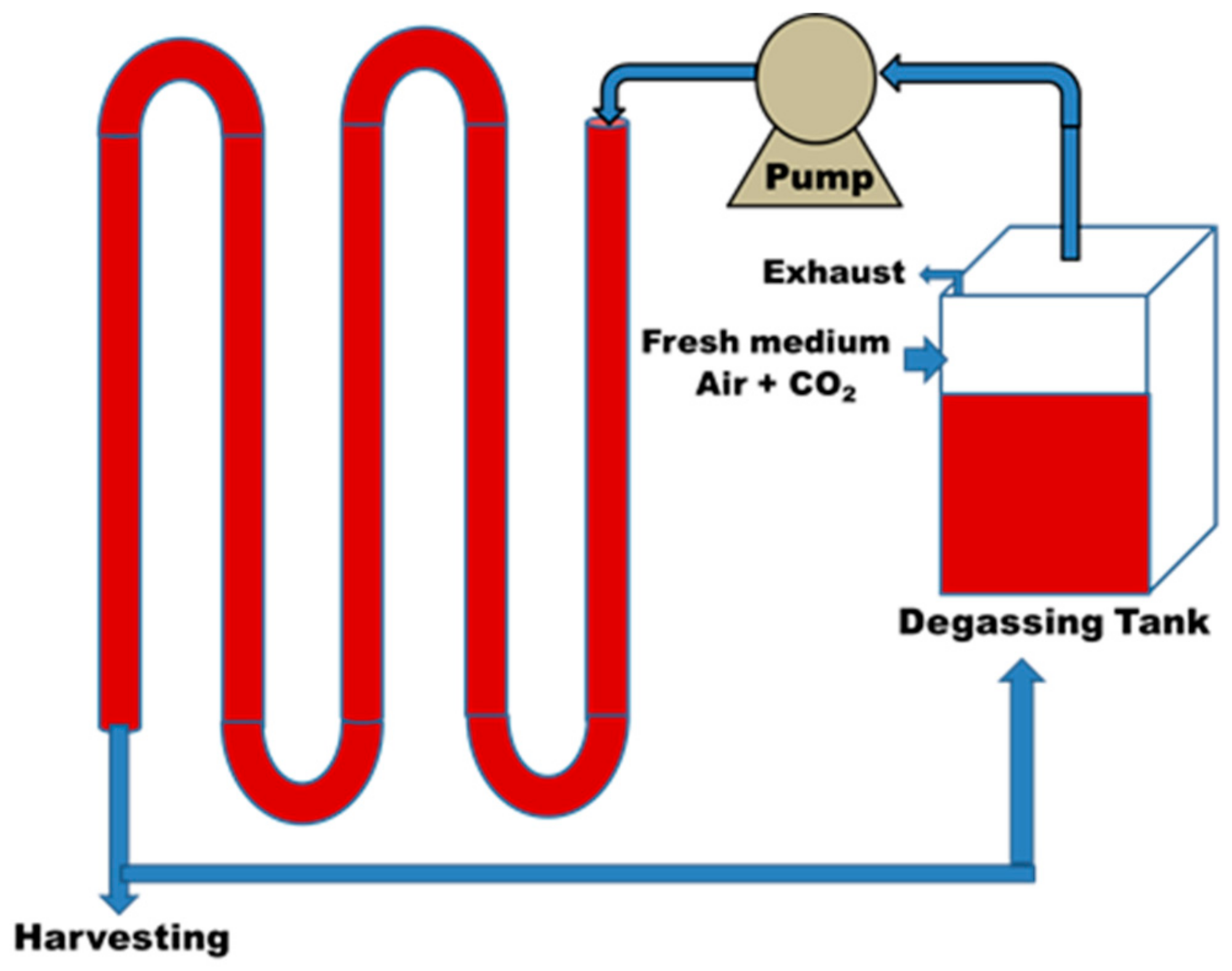 Fermentation 04 00046 g004