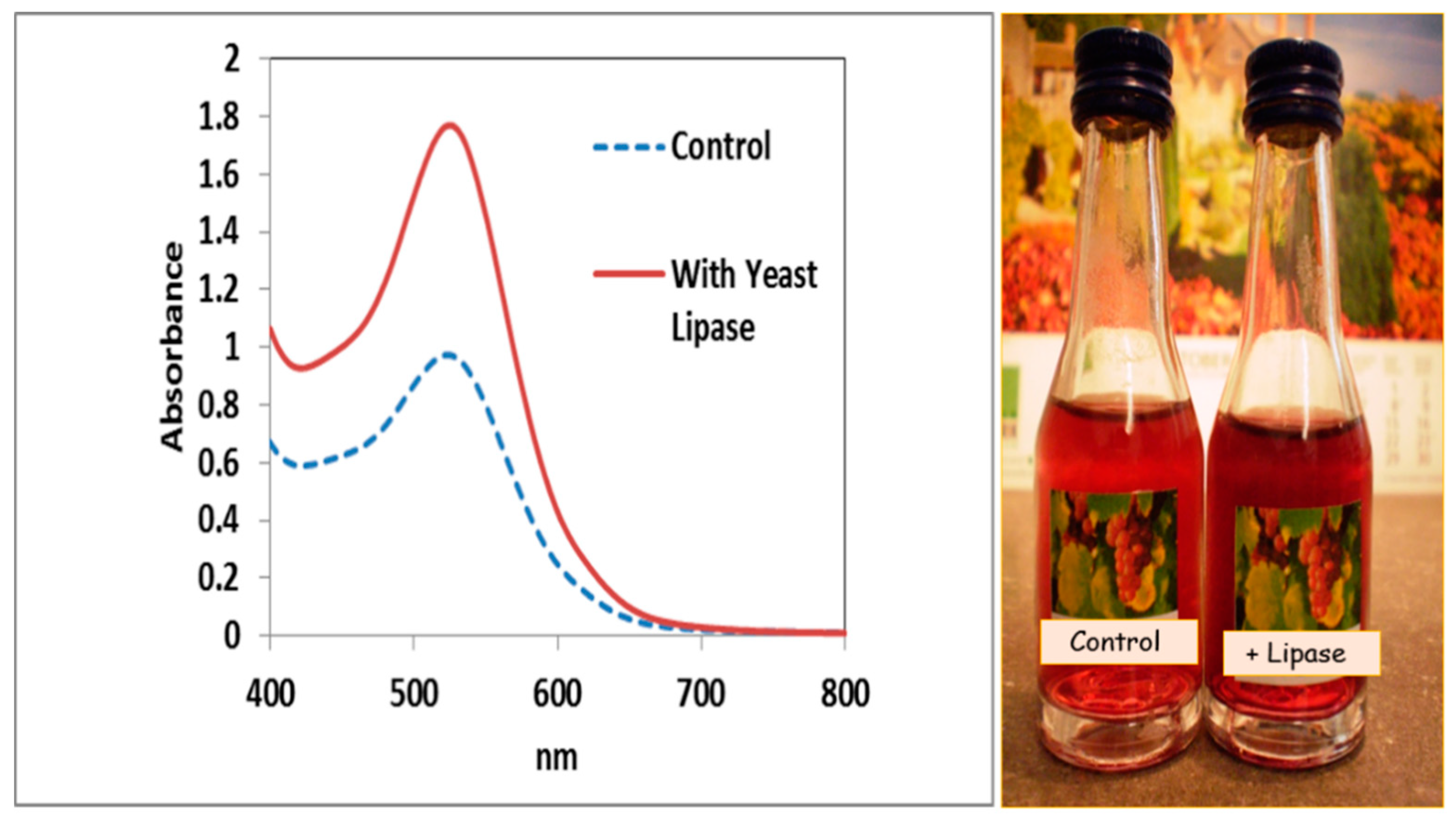 Fermentation 04 00052 g001