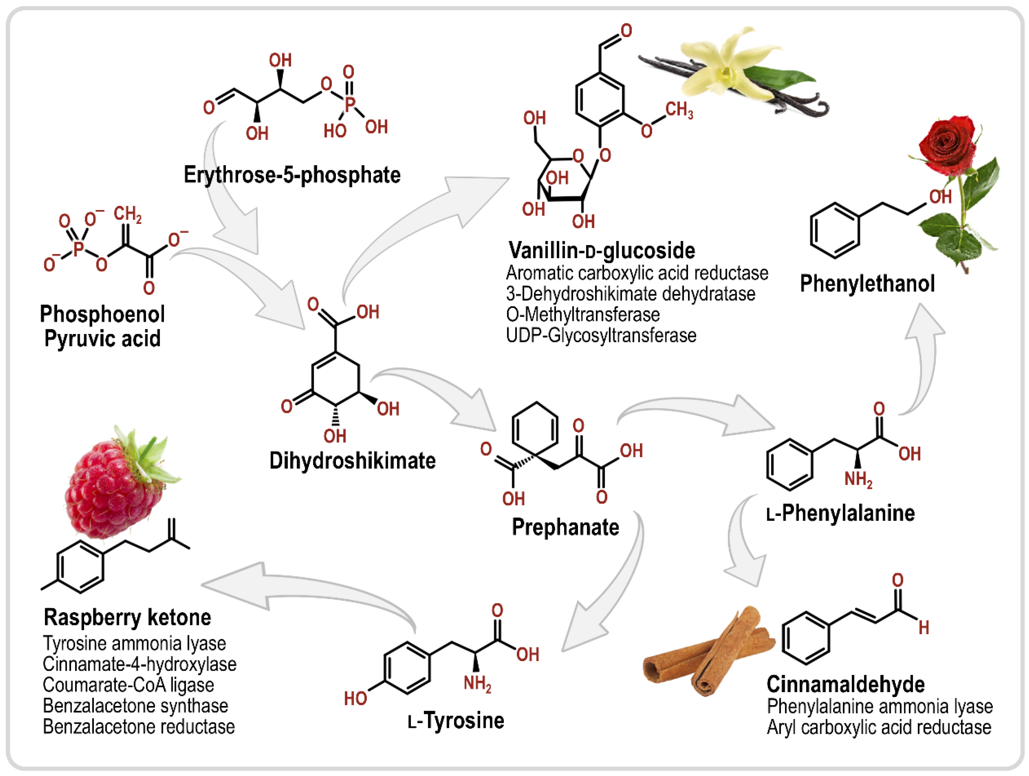 Fermentation 04 00054 g002