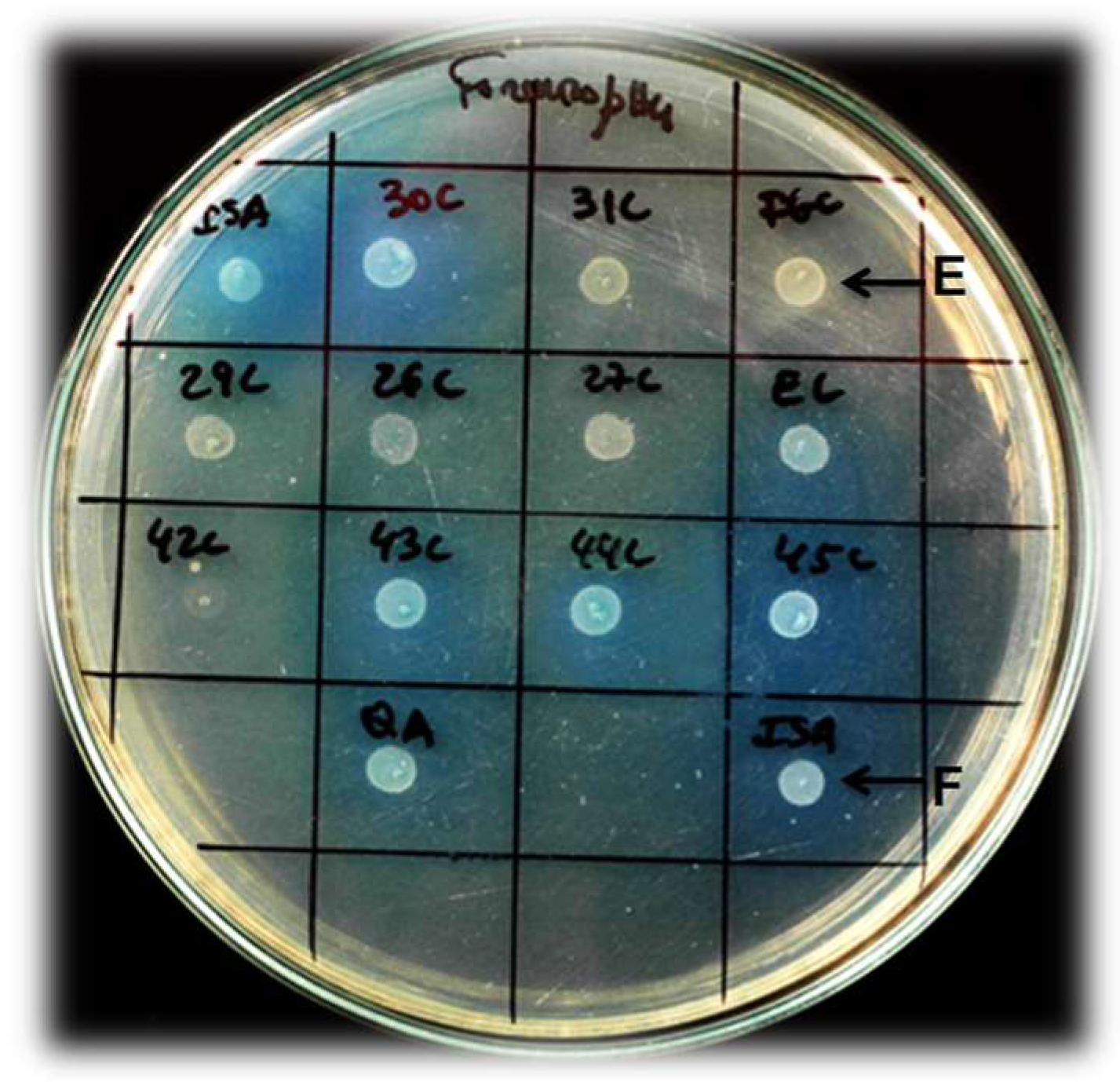 Fermentation 04 00056 g001