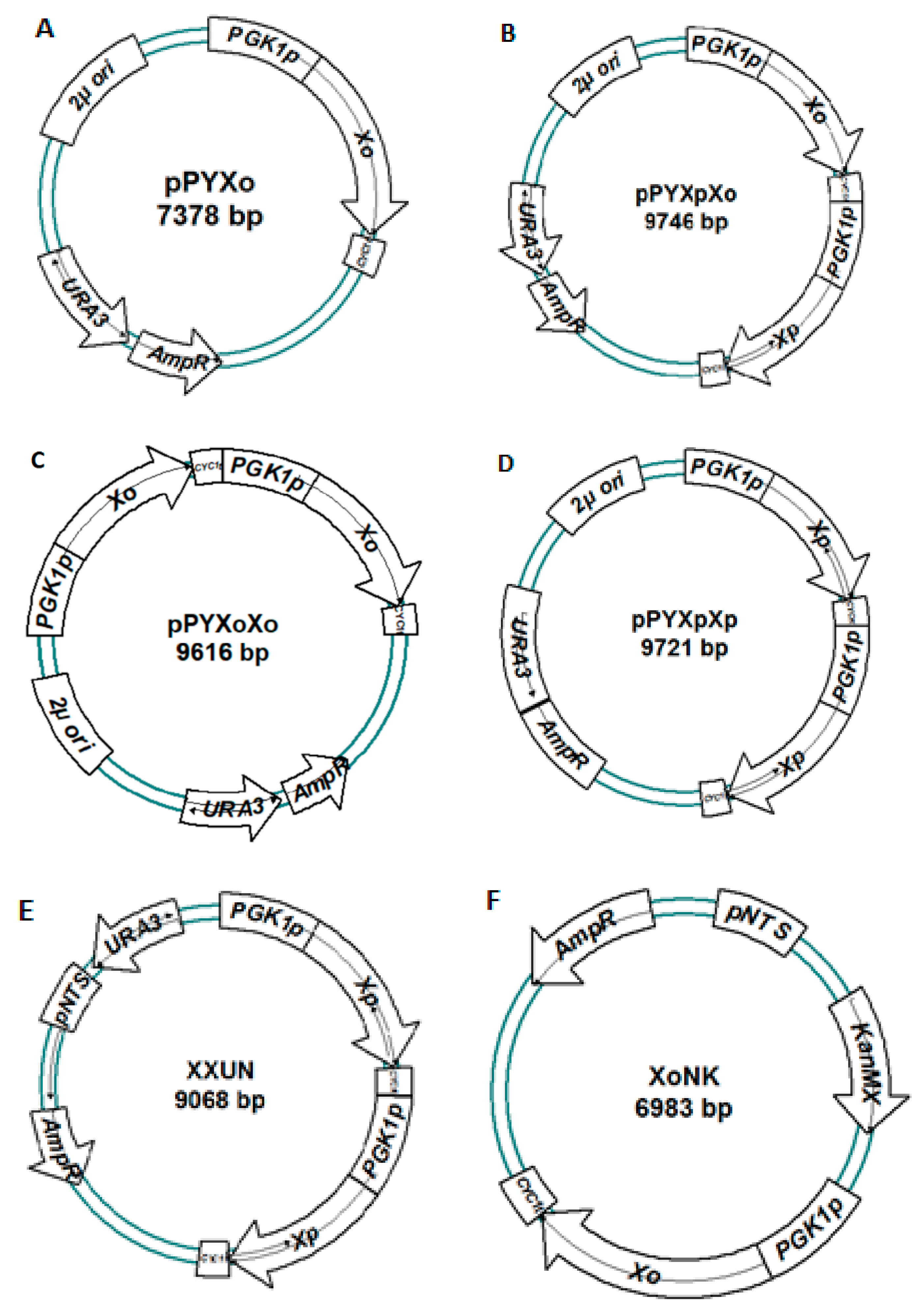 Fermentation 04 00059 g001