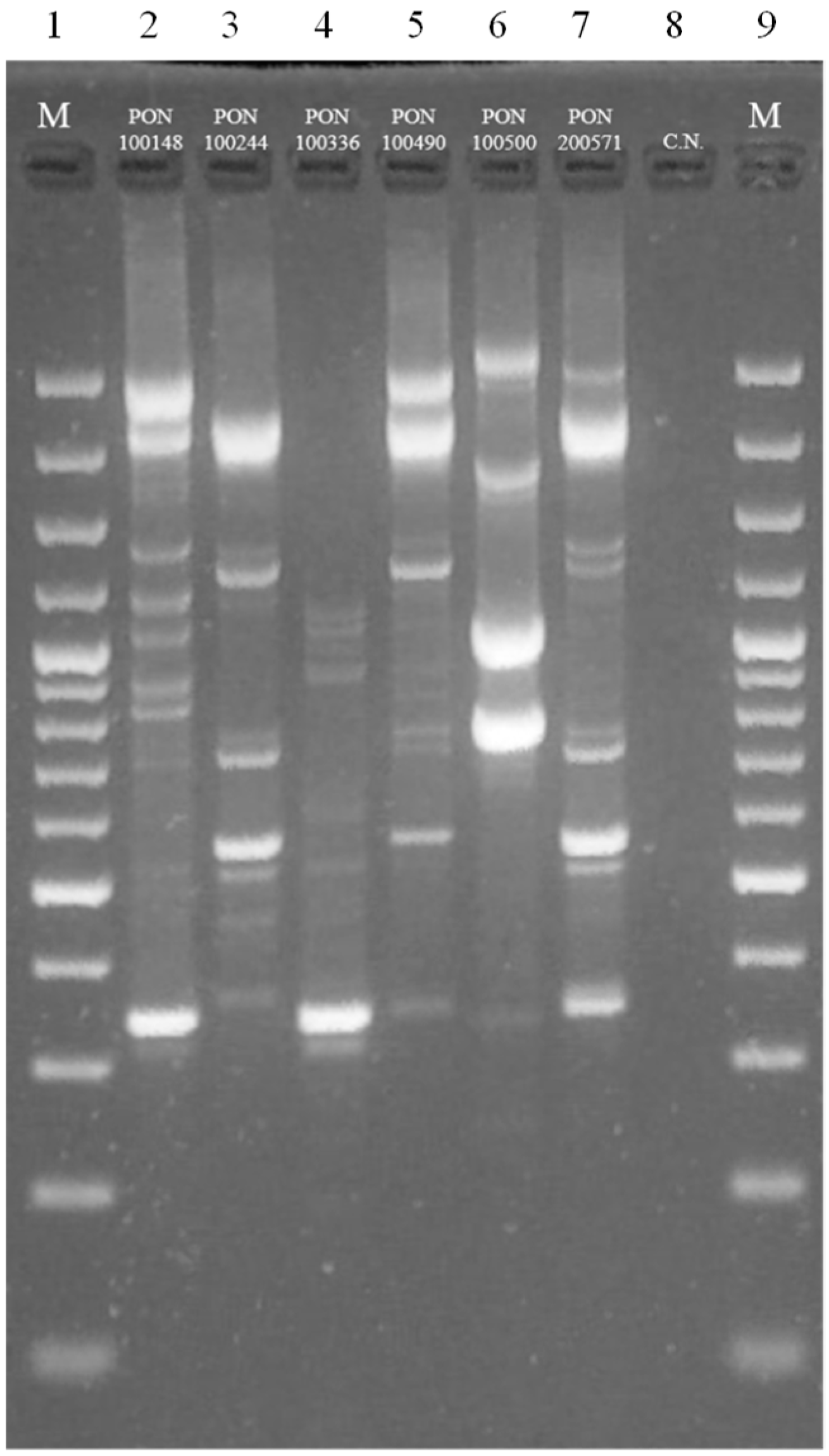 Fermentation 04 00061 g004 Fermentation 04 00061 g004