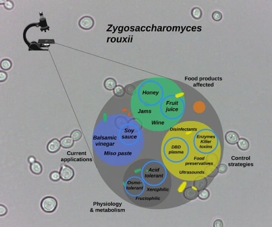 Z Rouxii Zygosaccharomyces rouxii: Control Strategies and Applications in Food ...