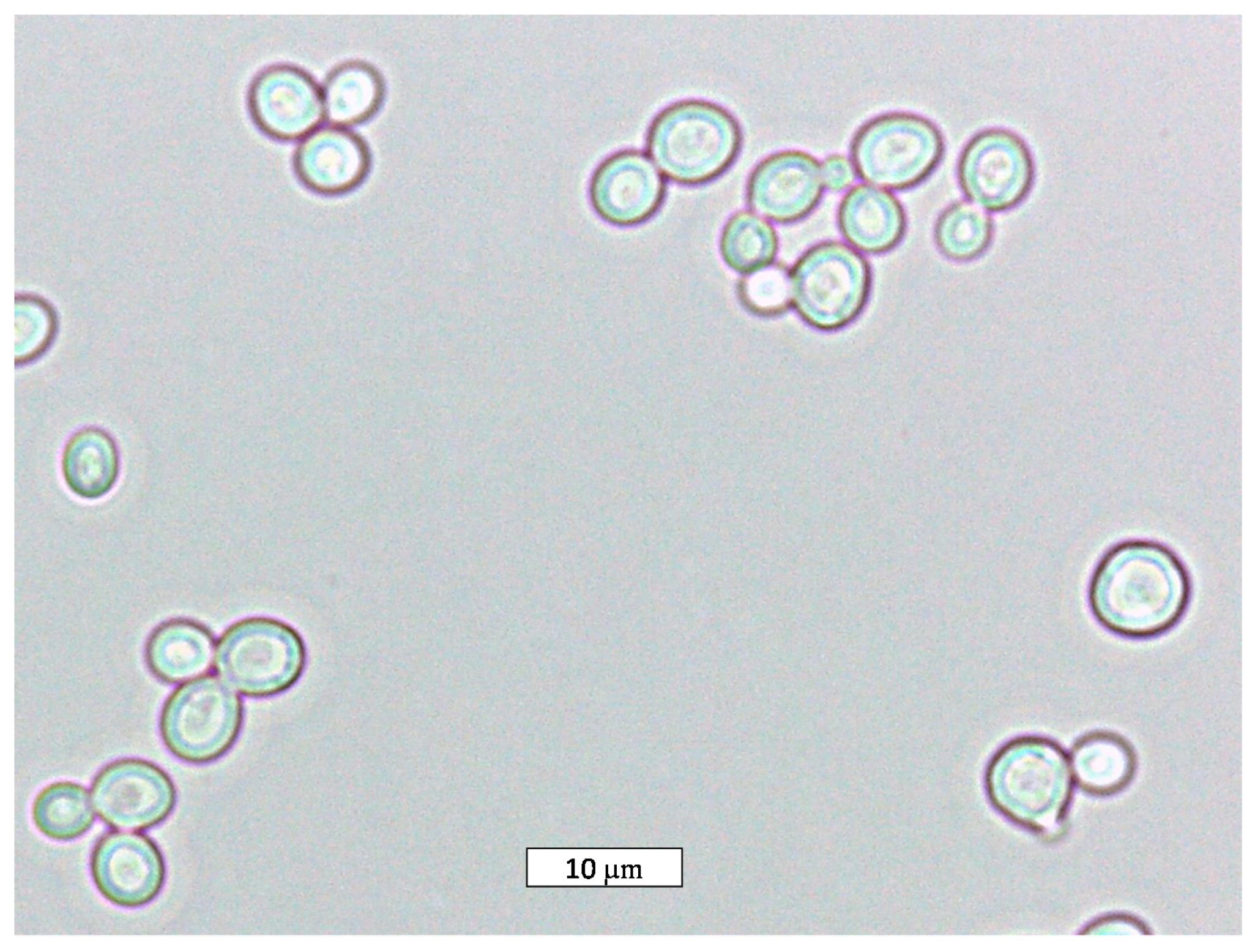 Fermentation 04 00069 g001