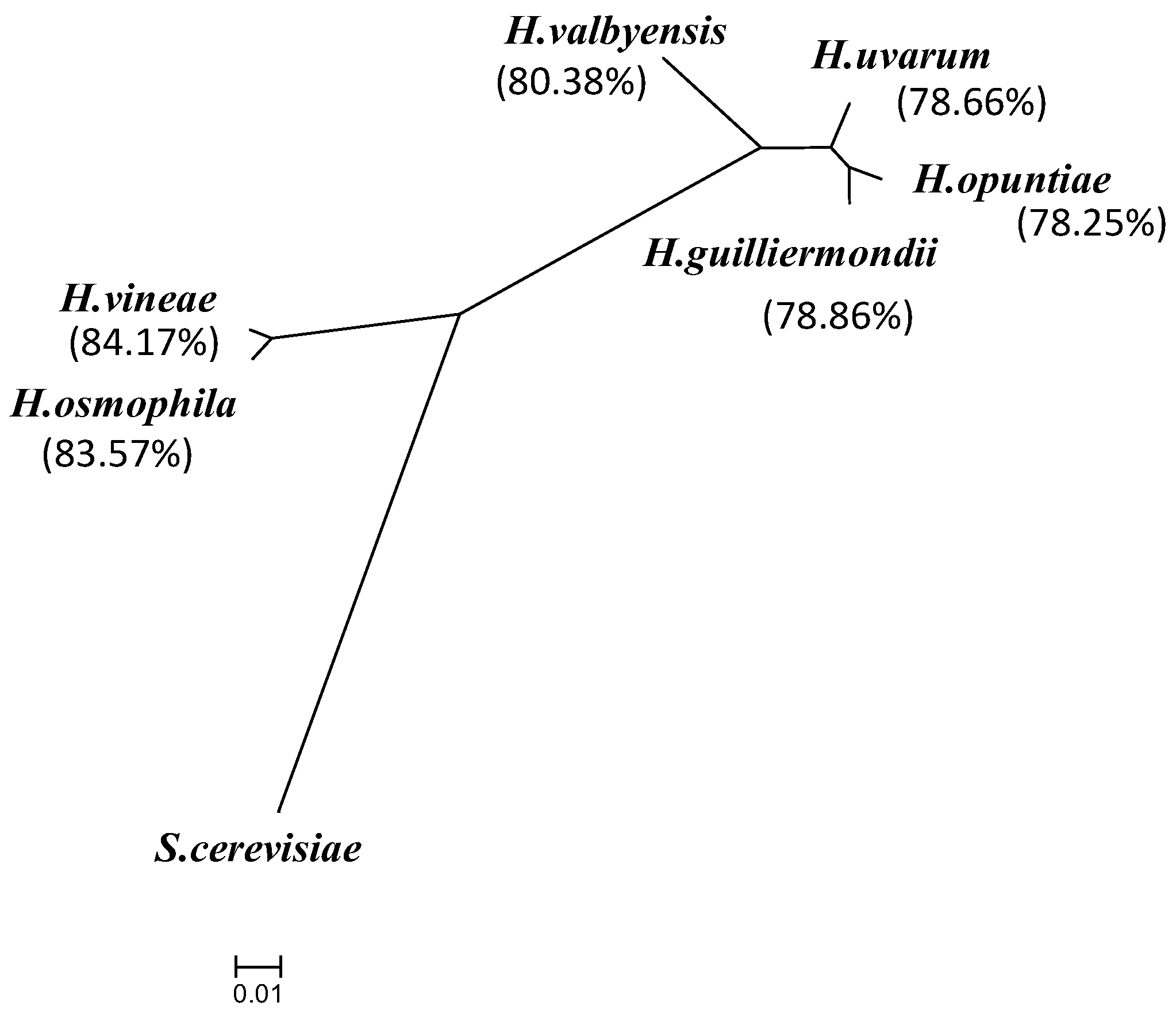 Fermentation 04 00076 g003