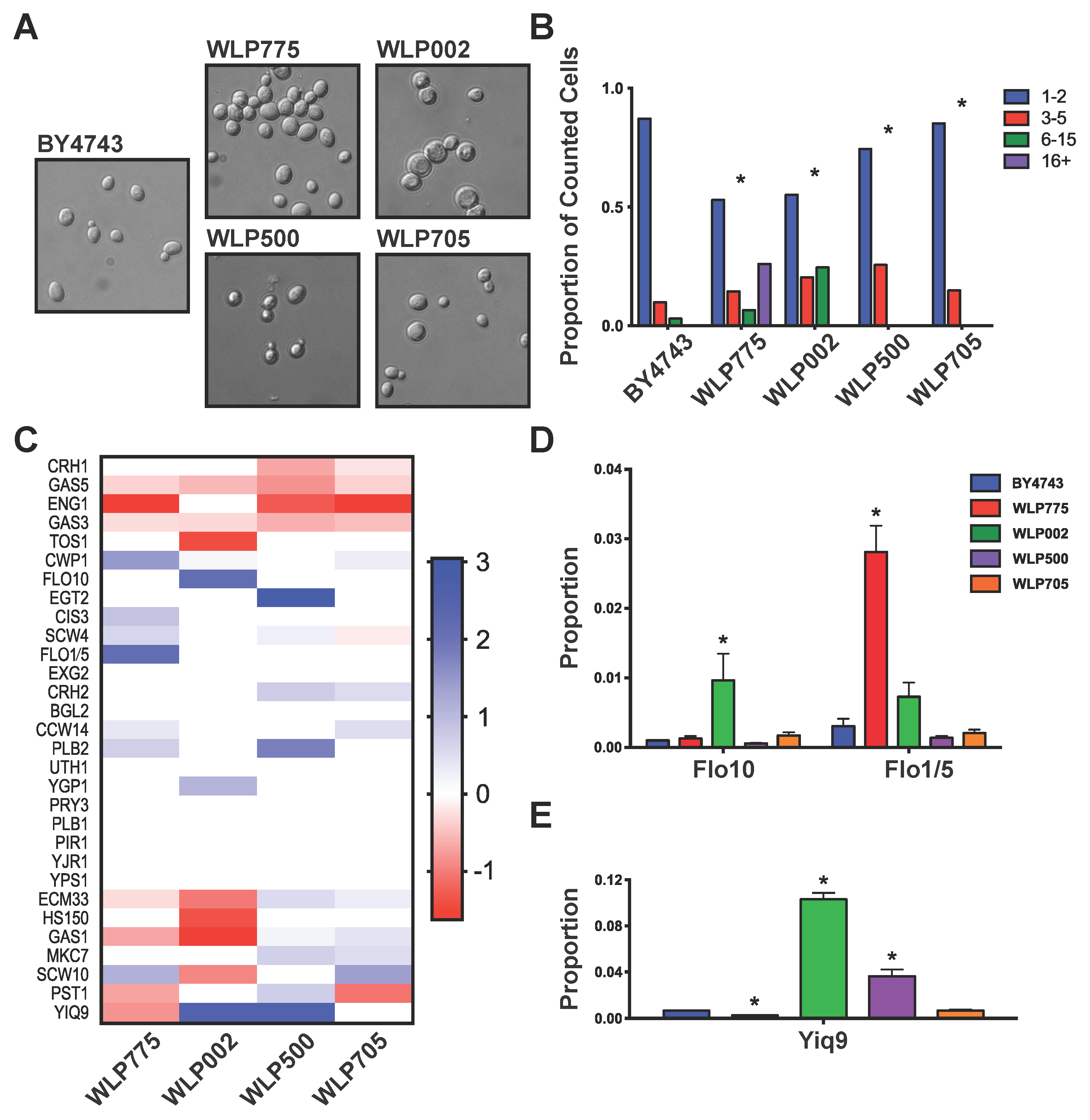 Fermentation 04 00080 g001