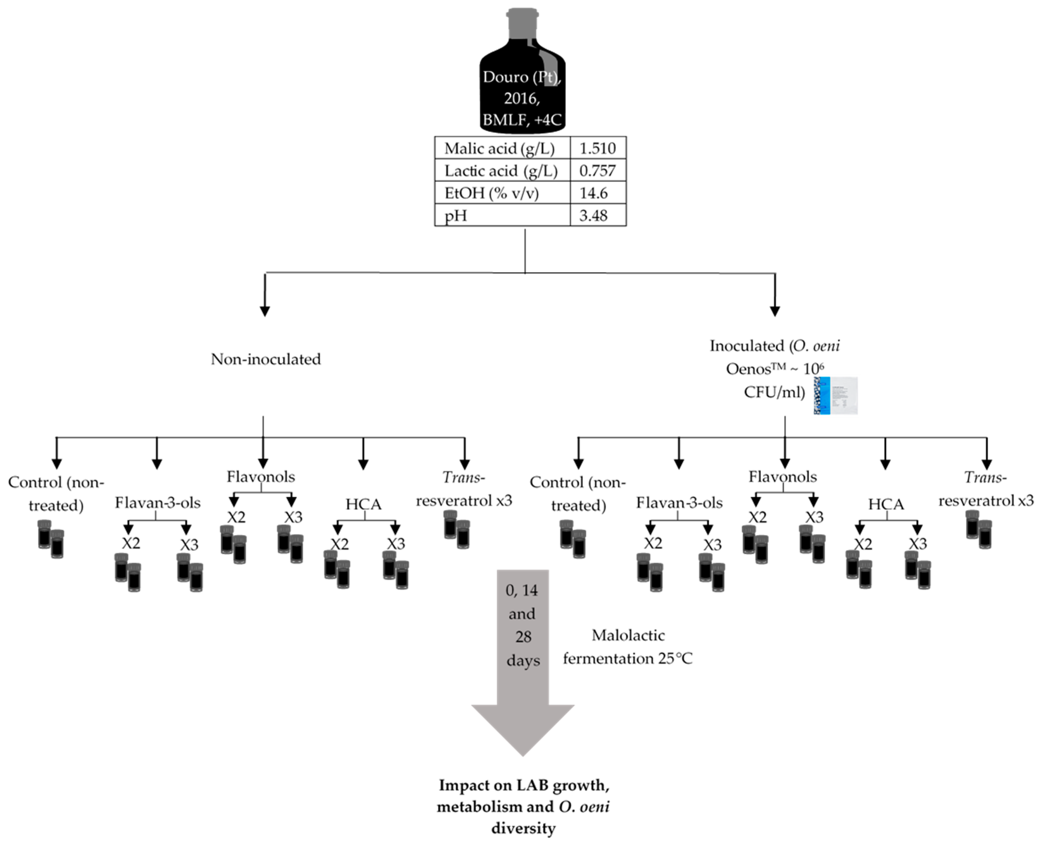 Fermentation 05 00001 g003