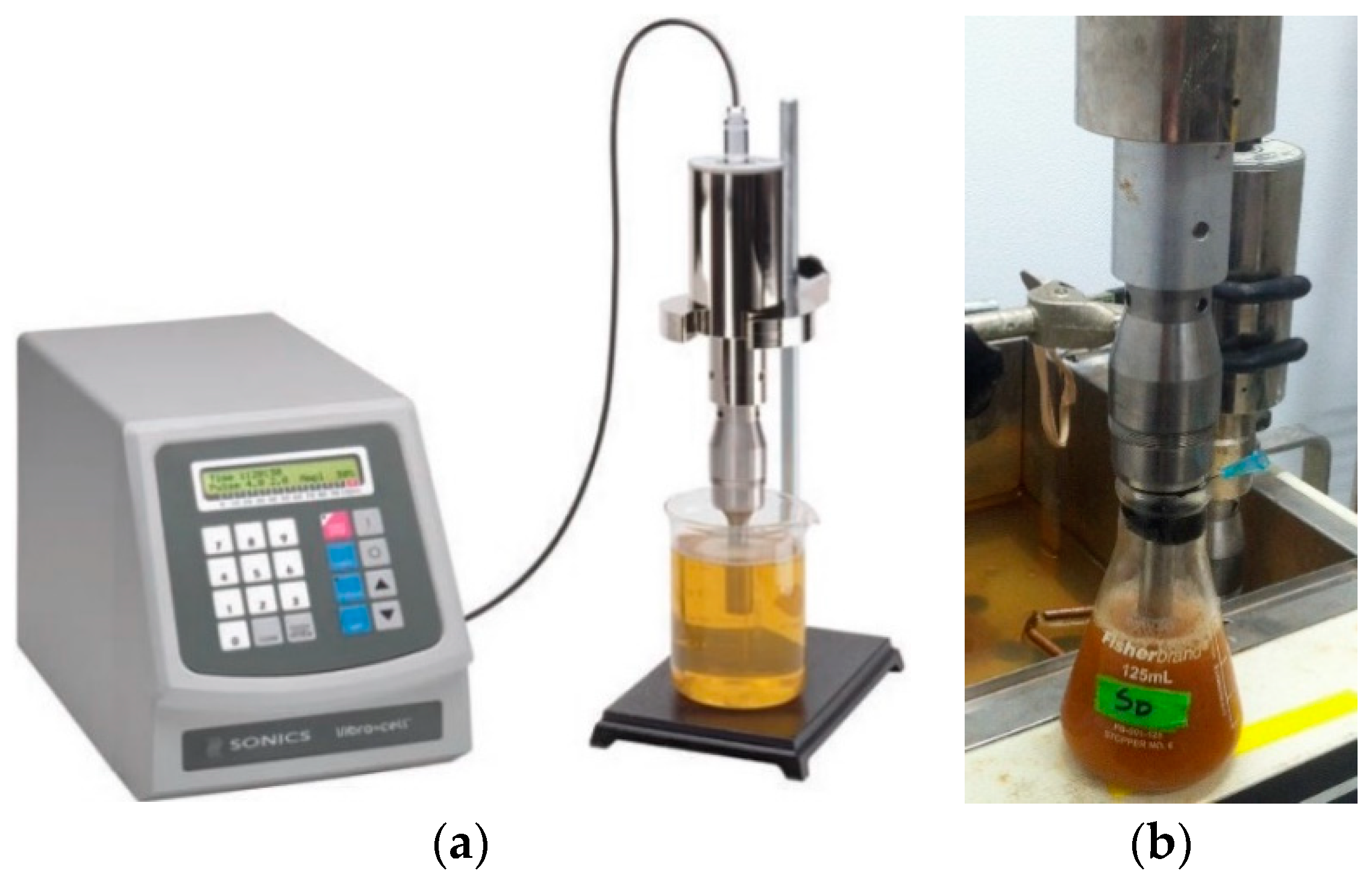Fermentation 05 00016 g001