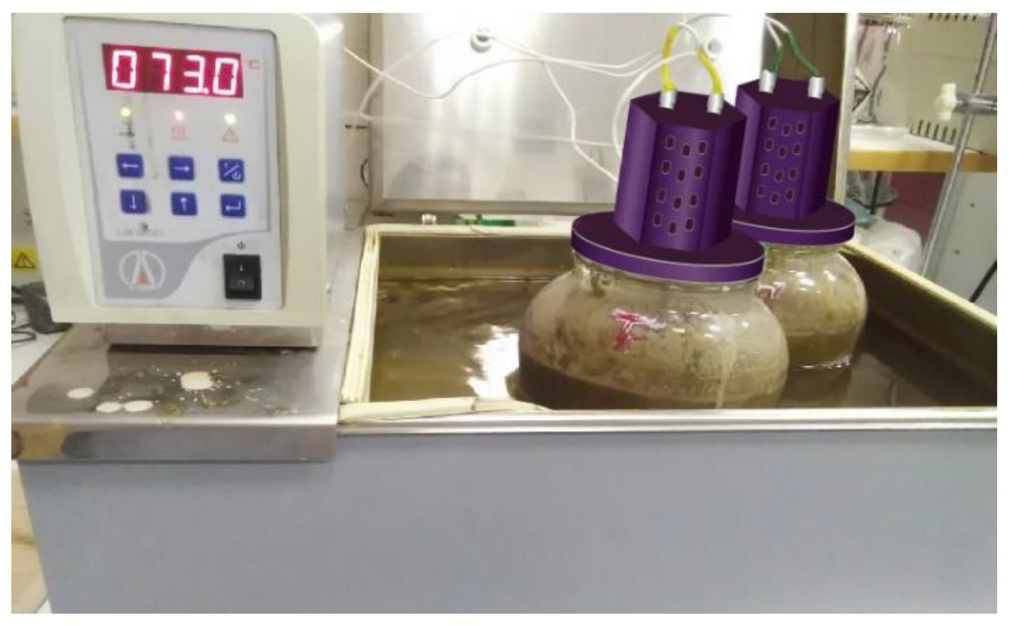 Fermentation 05 00024 g001 Fermentation 05 00024 g001