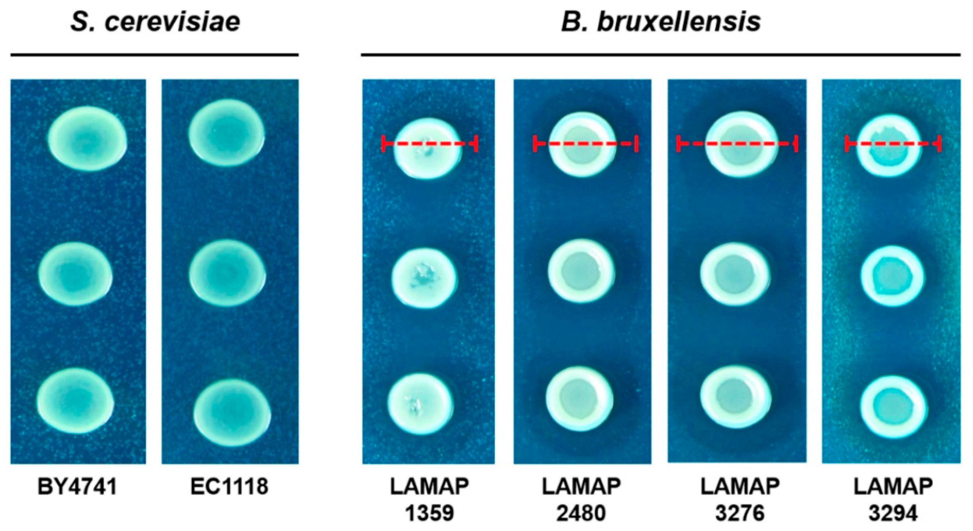 Fermentation 05 00025 g001