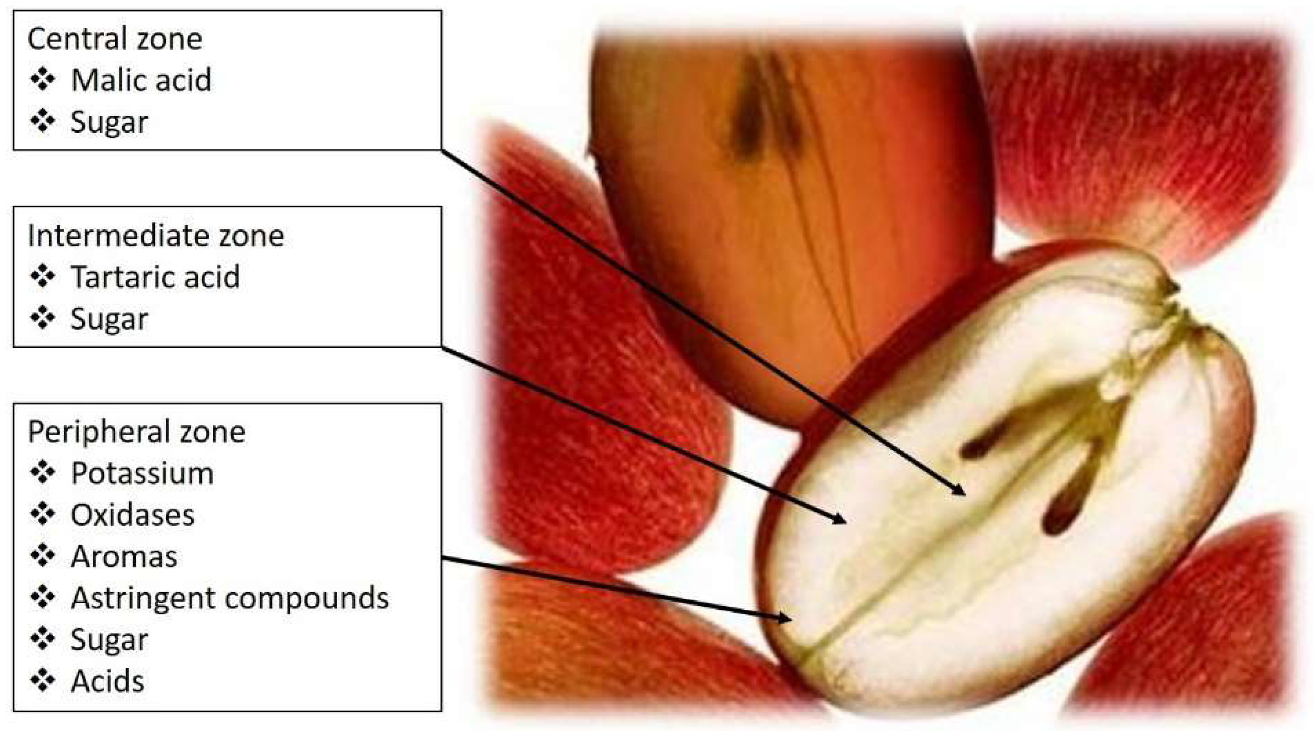 Fermentation 05 00027 g001