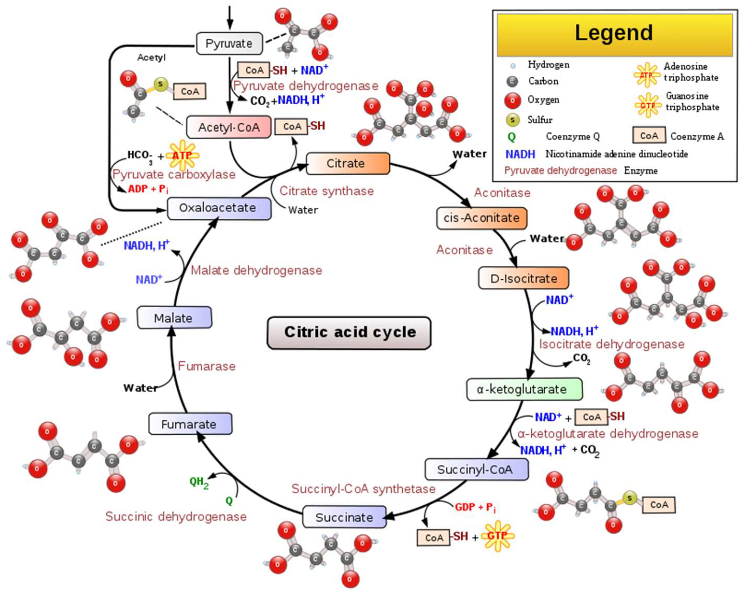 Fermentation 05 00027 g002