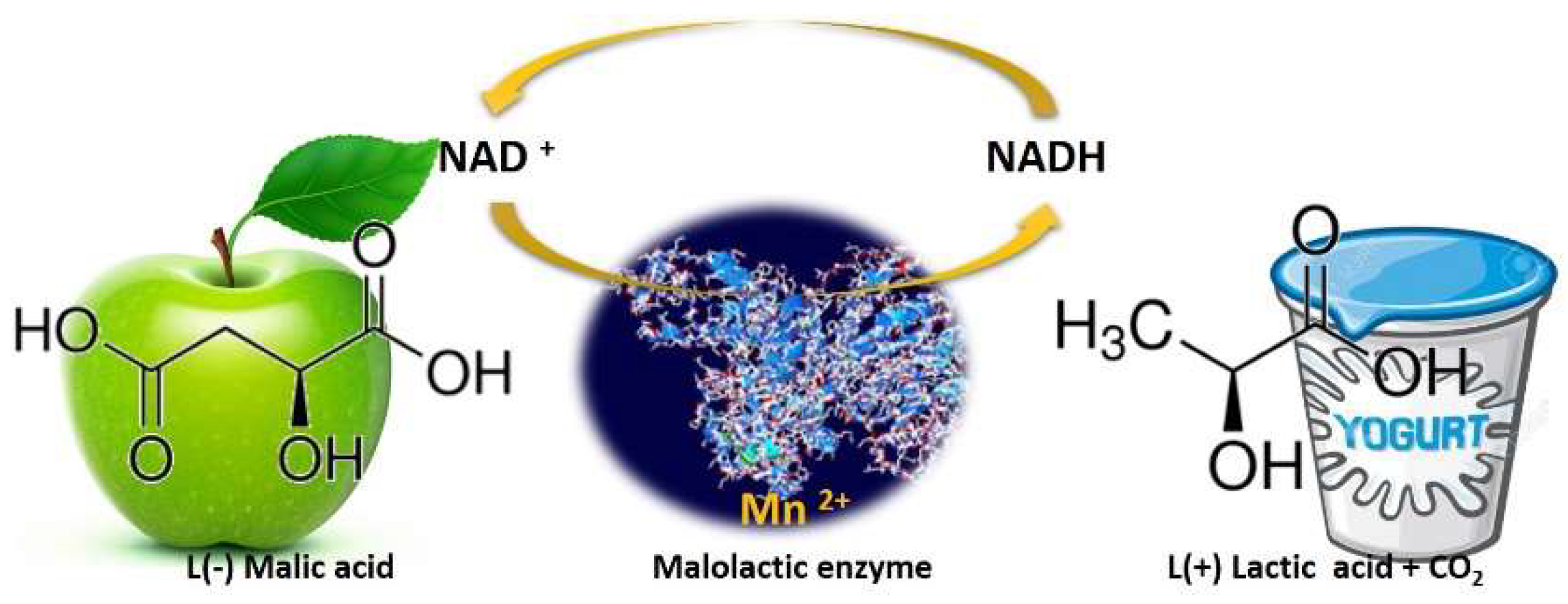 Fermentation 05 00027 g003