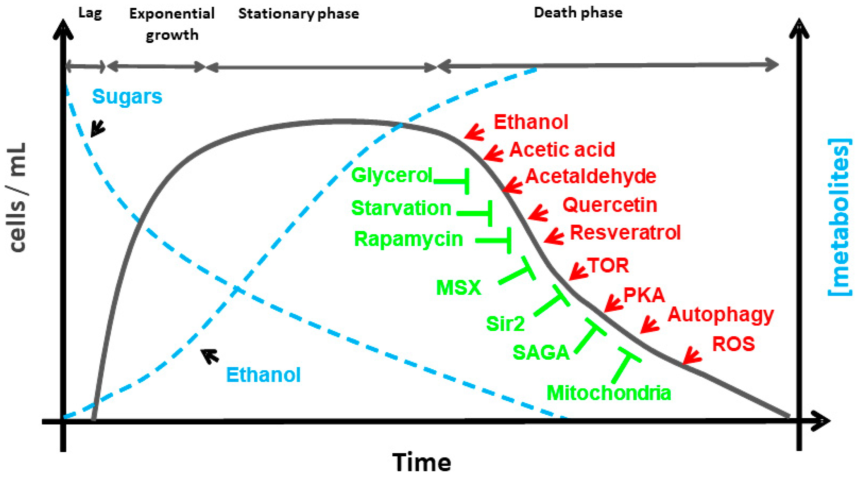 Fermentation 05 00037 g001