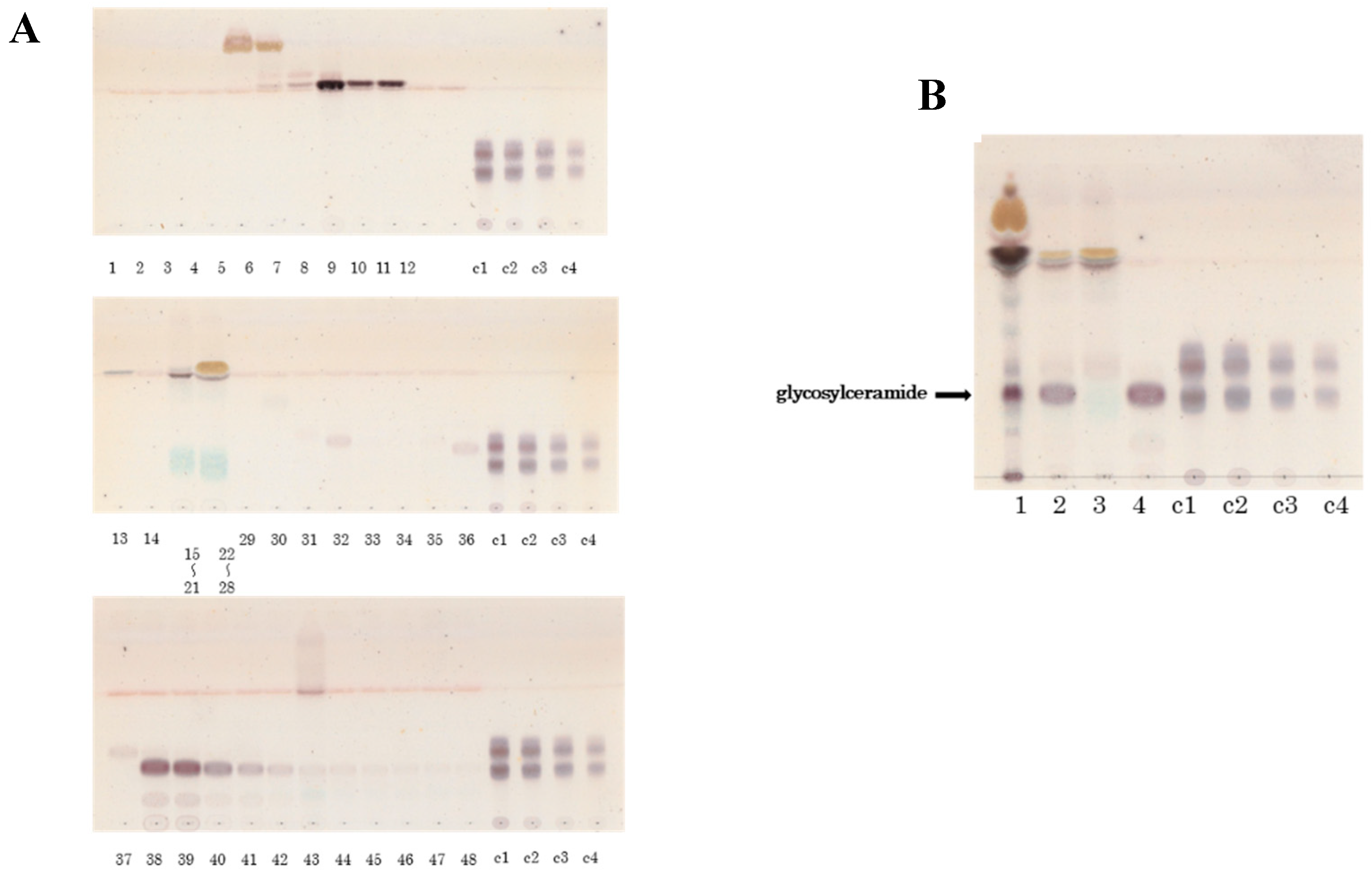 Fermentation 05 00043 g001