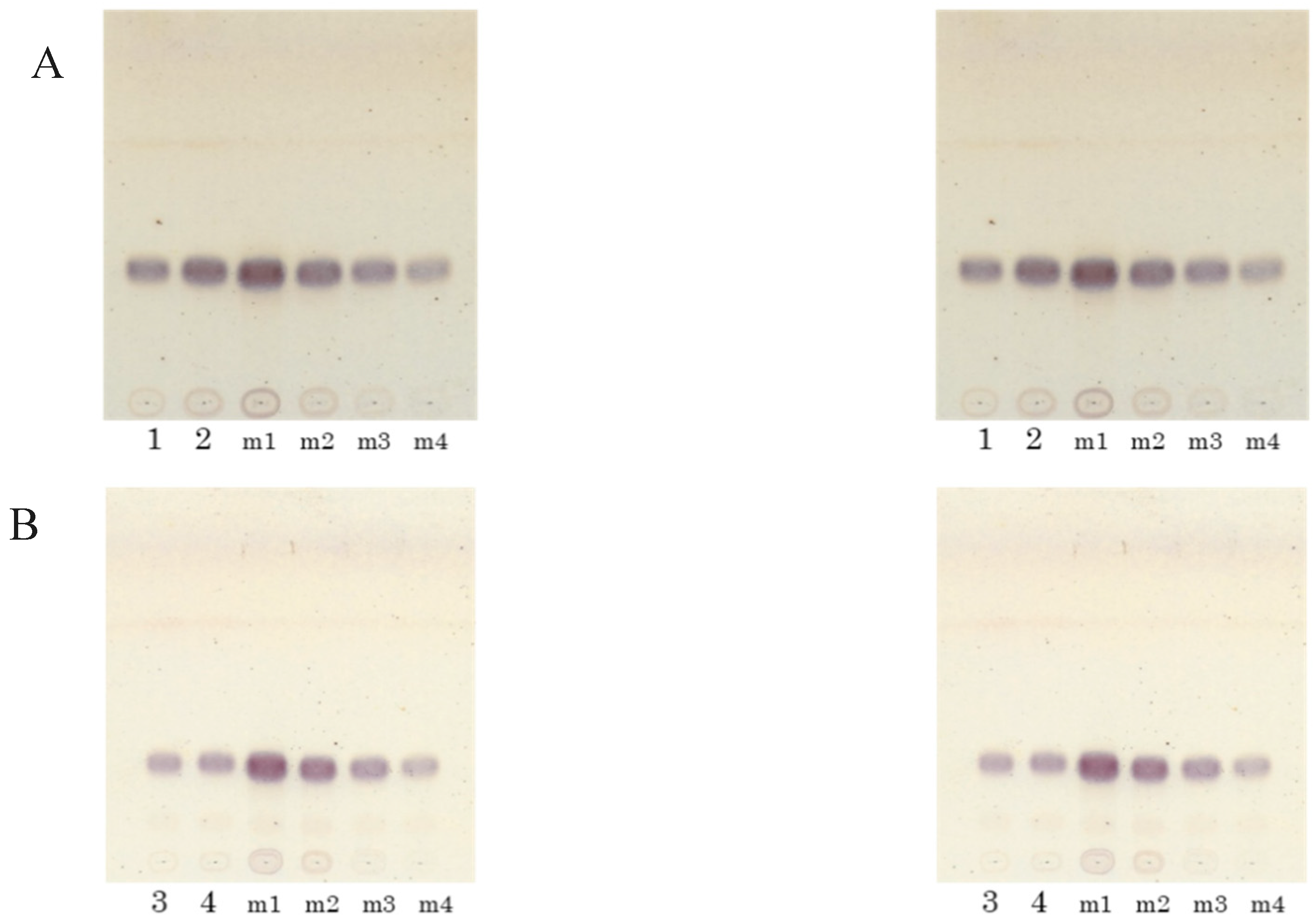 Fermentation 05 00043 g002