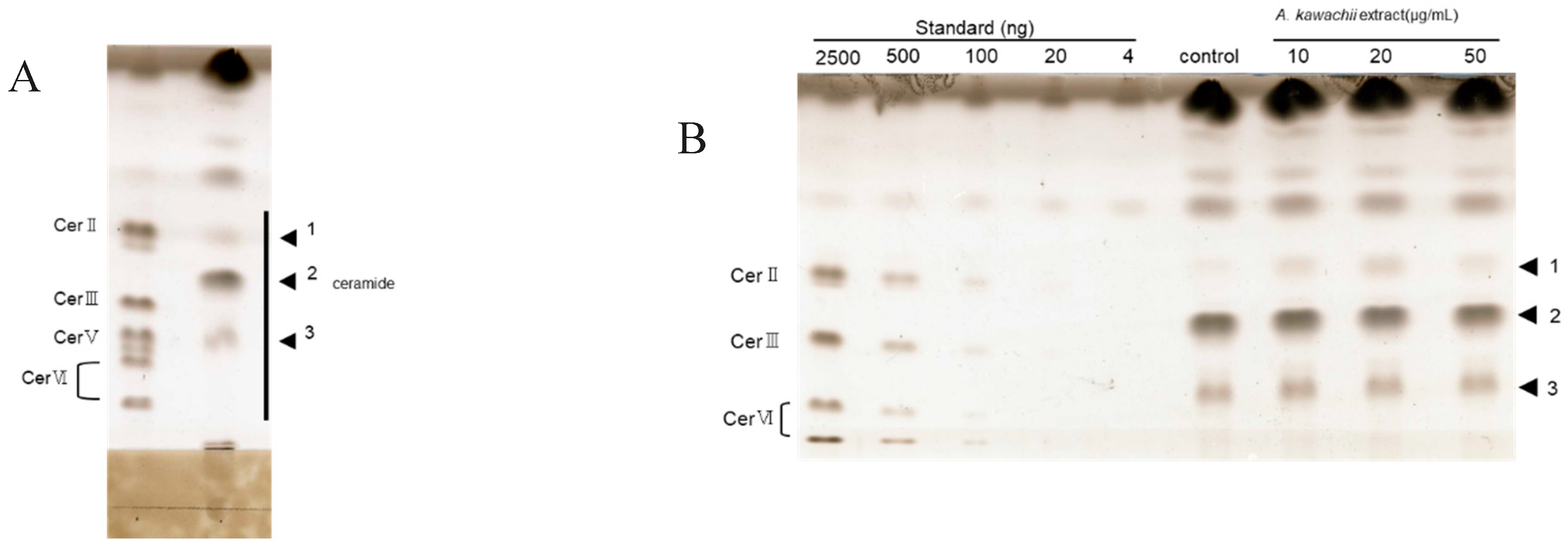 Fermentation 05 00043 g005